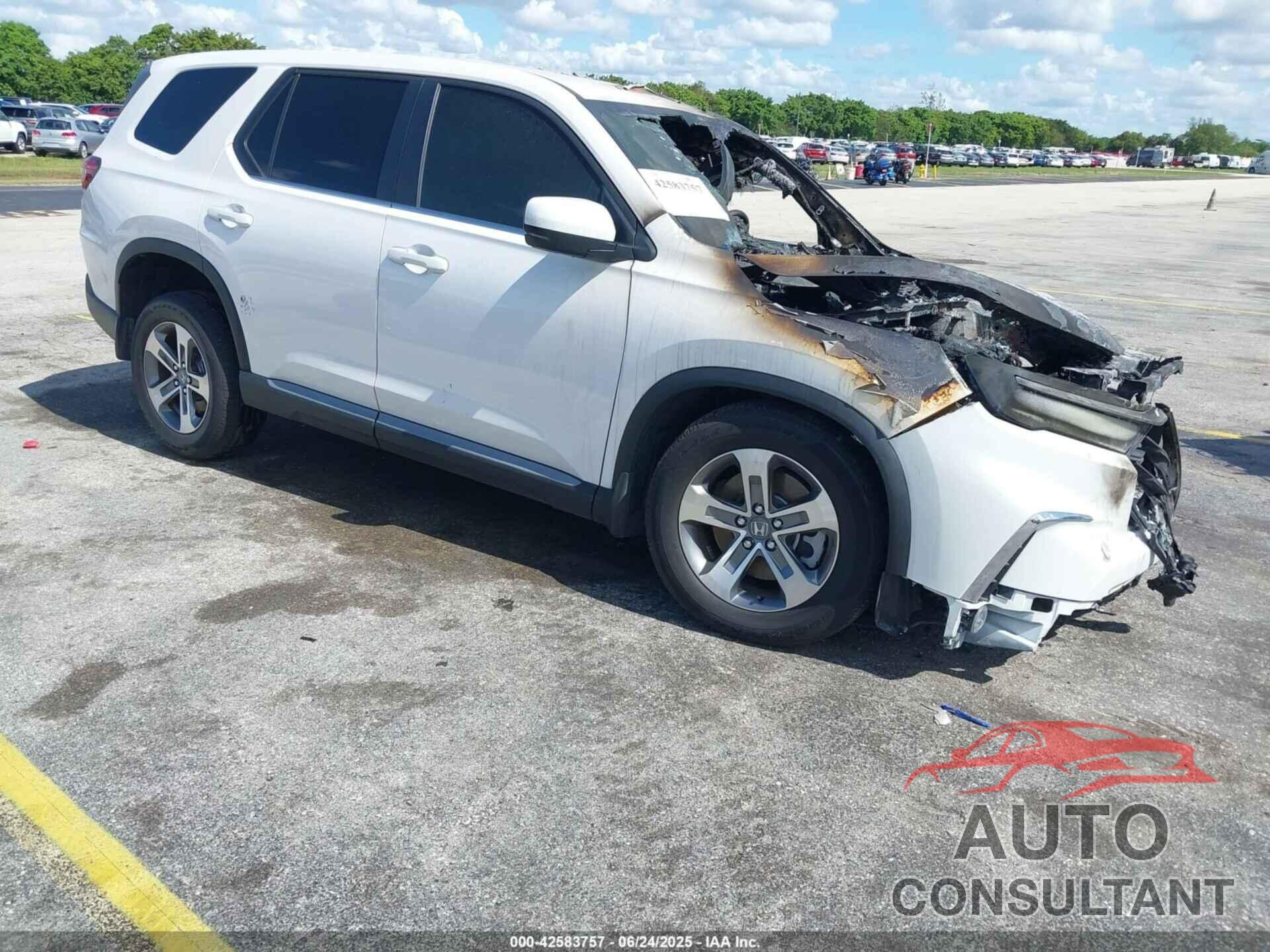 HONDA PILOT 2024 - 5FNYG1H4XRB045795
