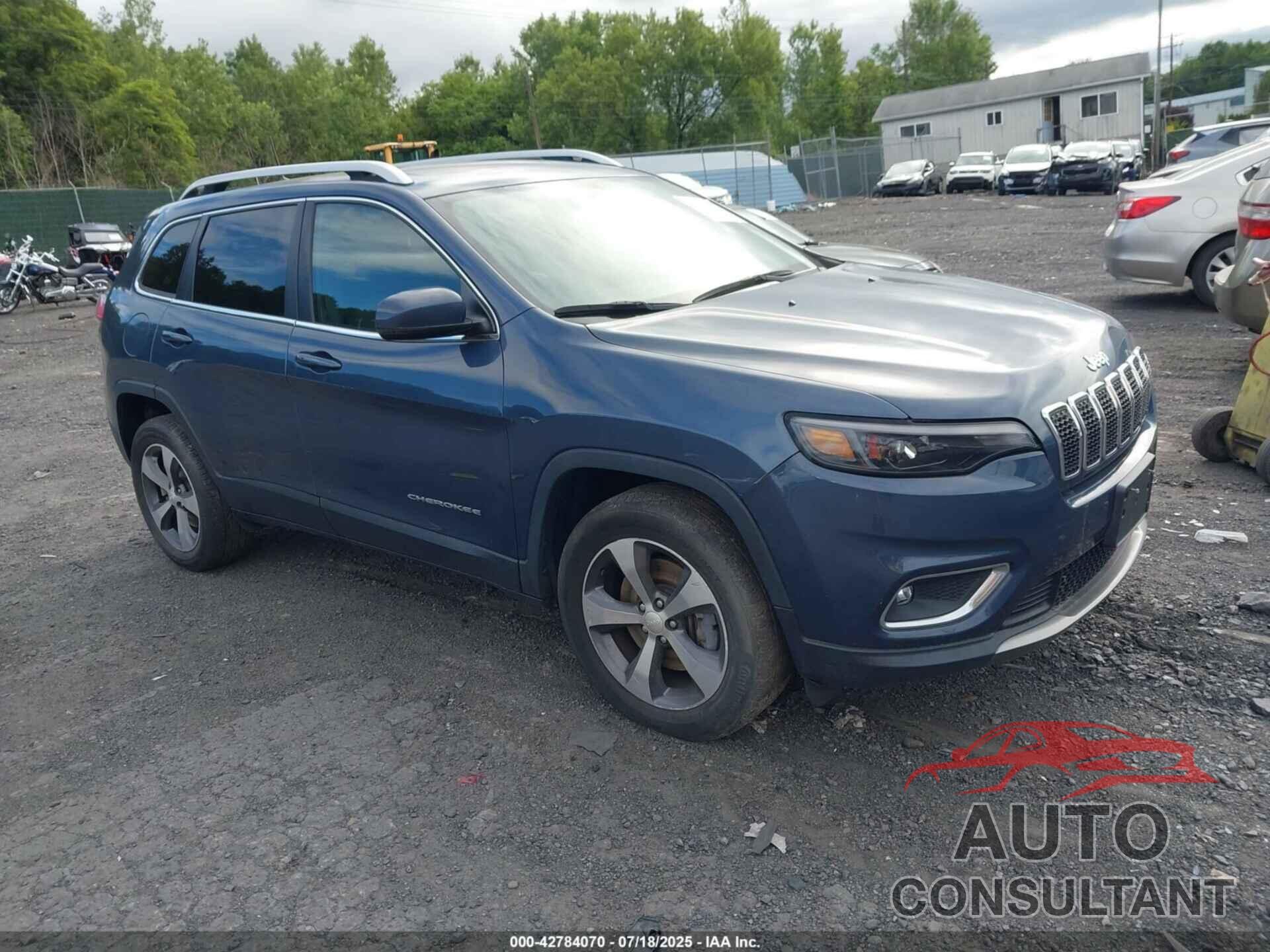 JEEP CHEROKEE 2019 - 1C4PJMDN0KD474745