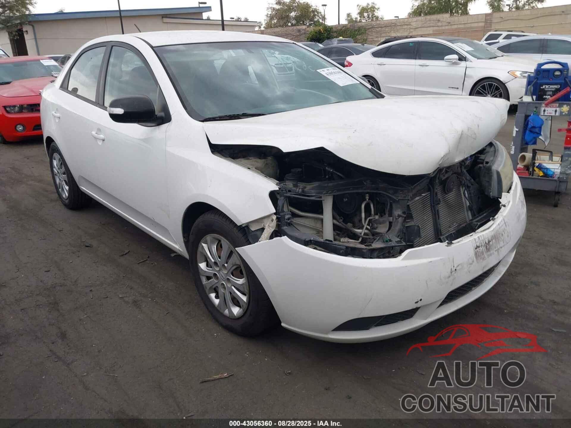 KIA FORTE 2010 - KNAFU4A22A5202748