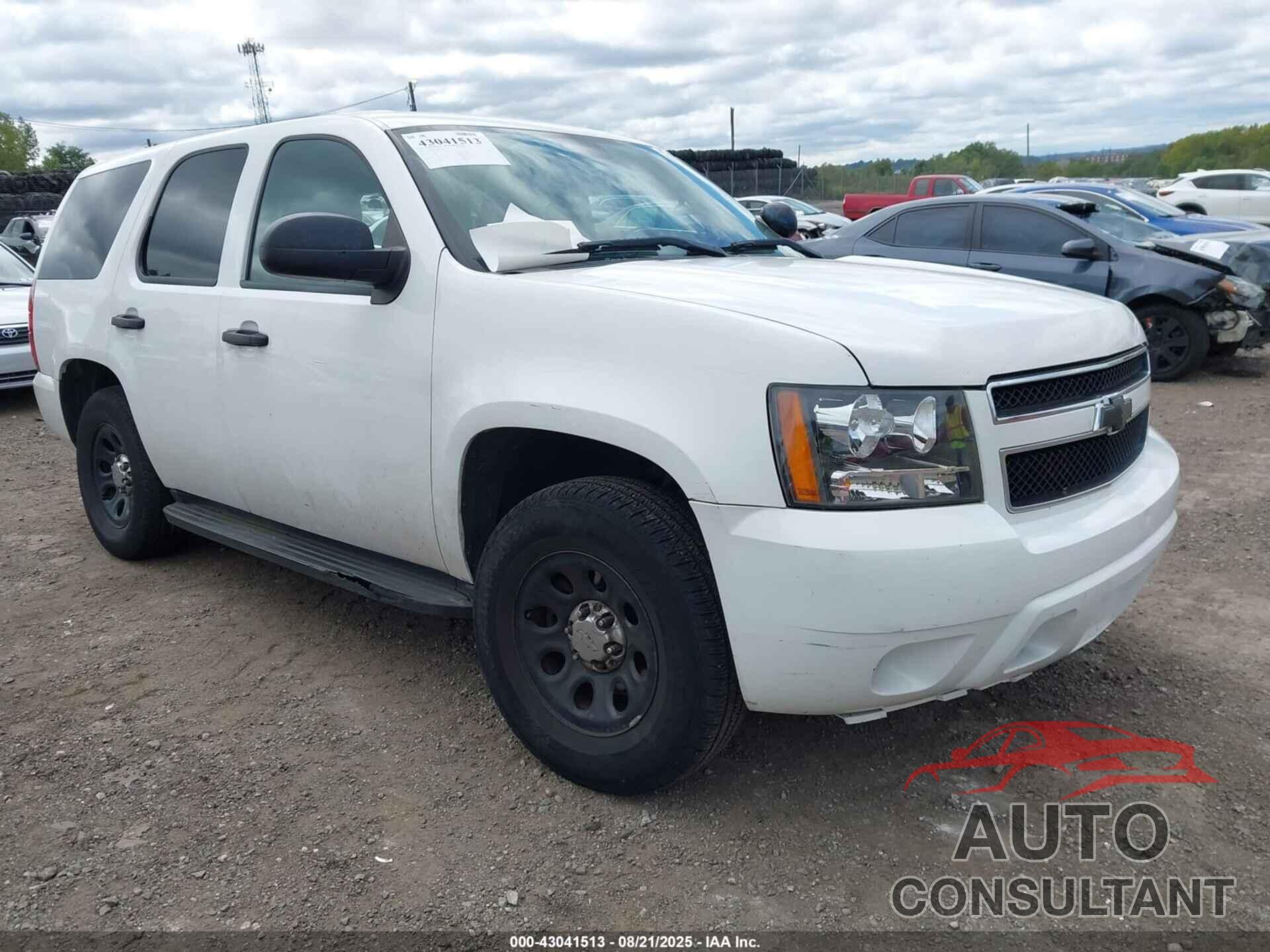 CHEVROLET TAHOE 2010 - 1GNMCAE03AR230160