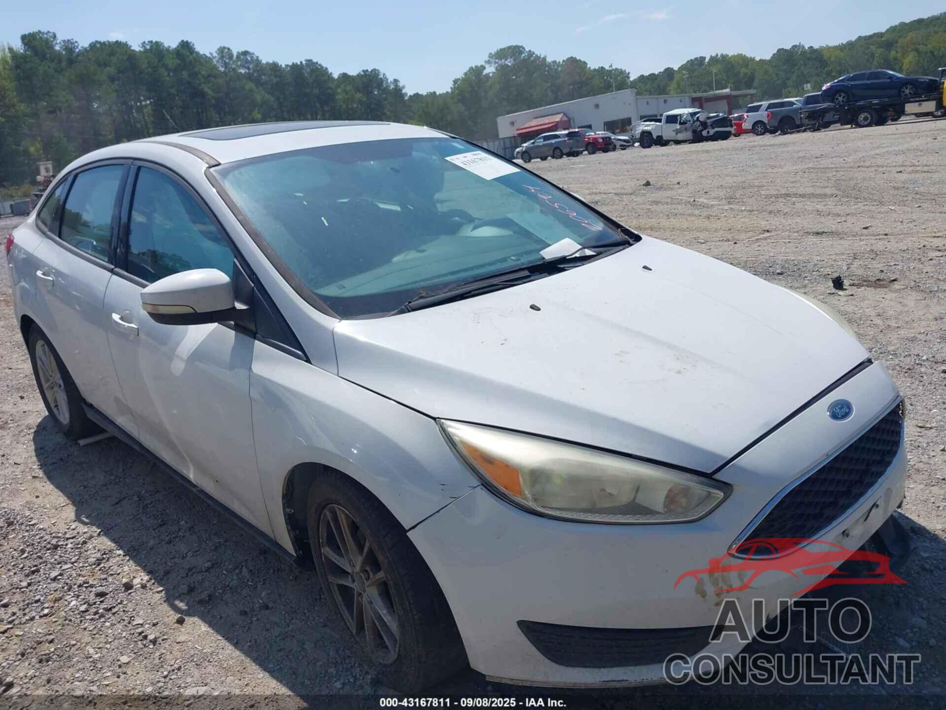FORD FOCUS 2015 - 1FADP3F23FL206594