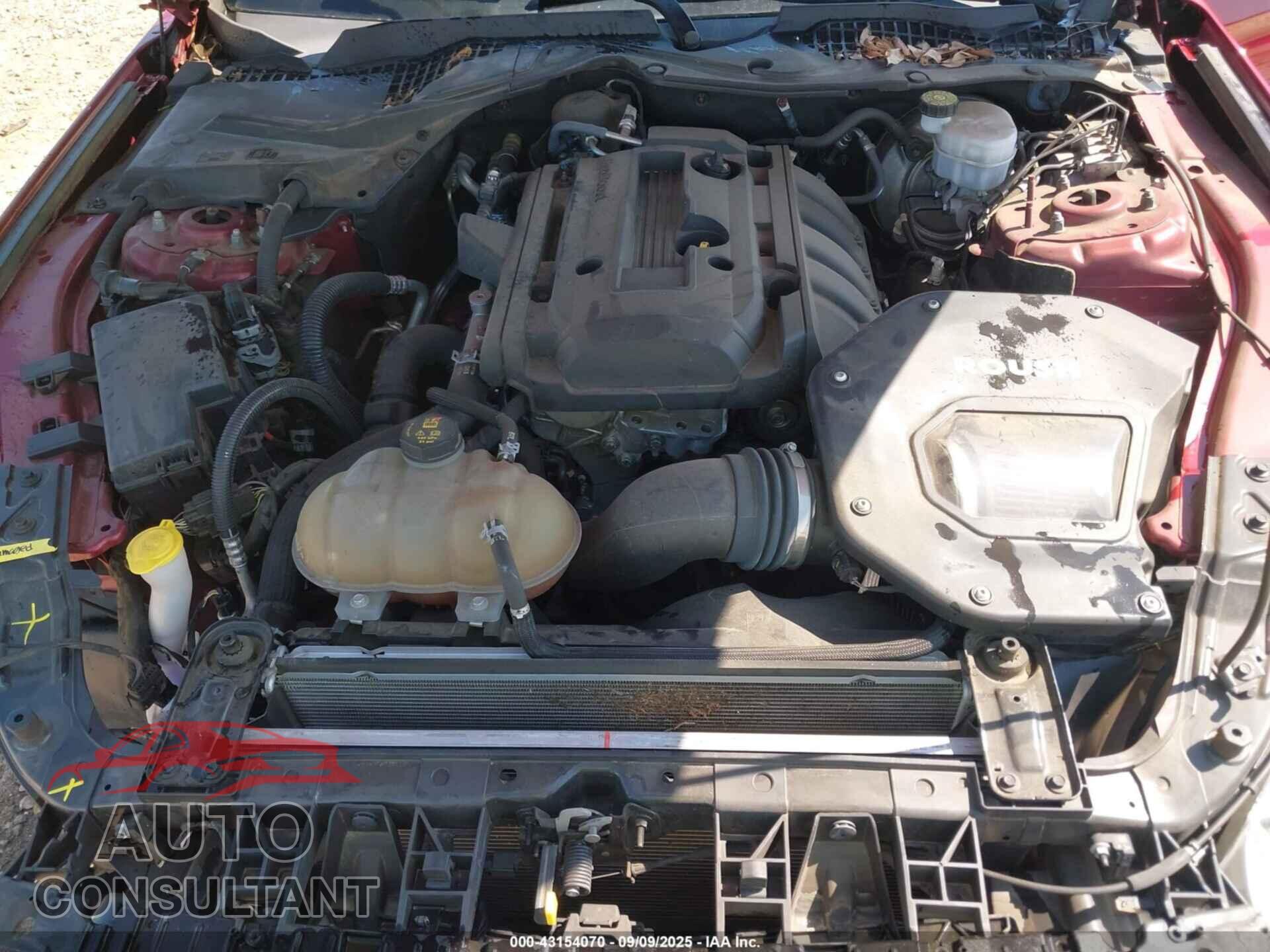 FORD MUSTANG 2019 - 1FA6P8TH2K5116639