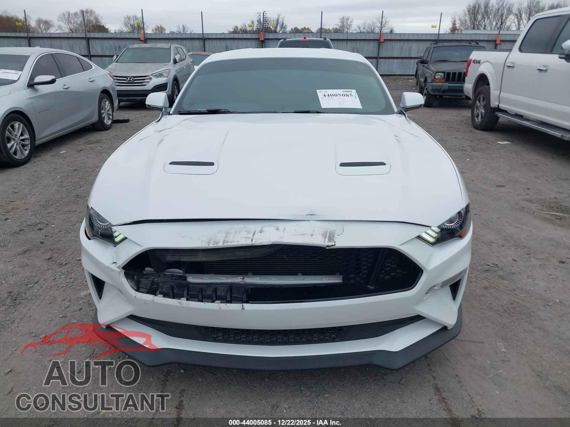 FORD MUSTANG 2019 - 1FA6P8CF8K5122962