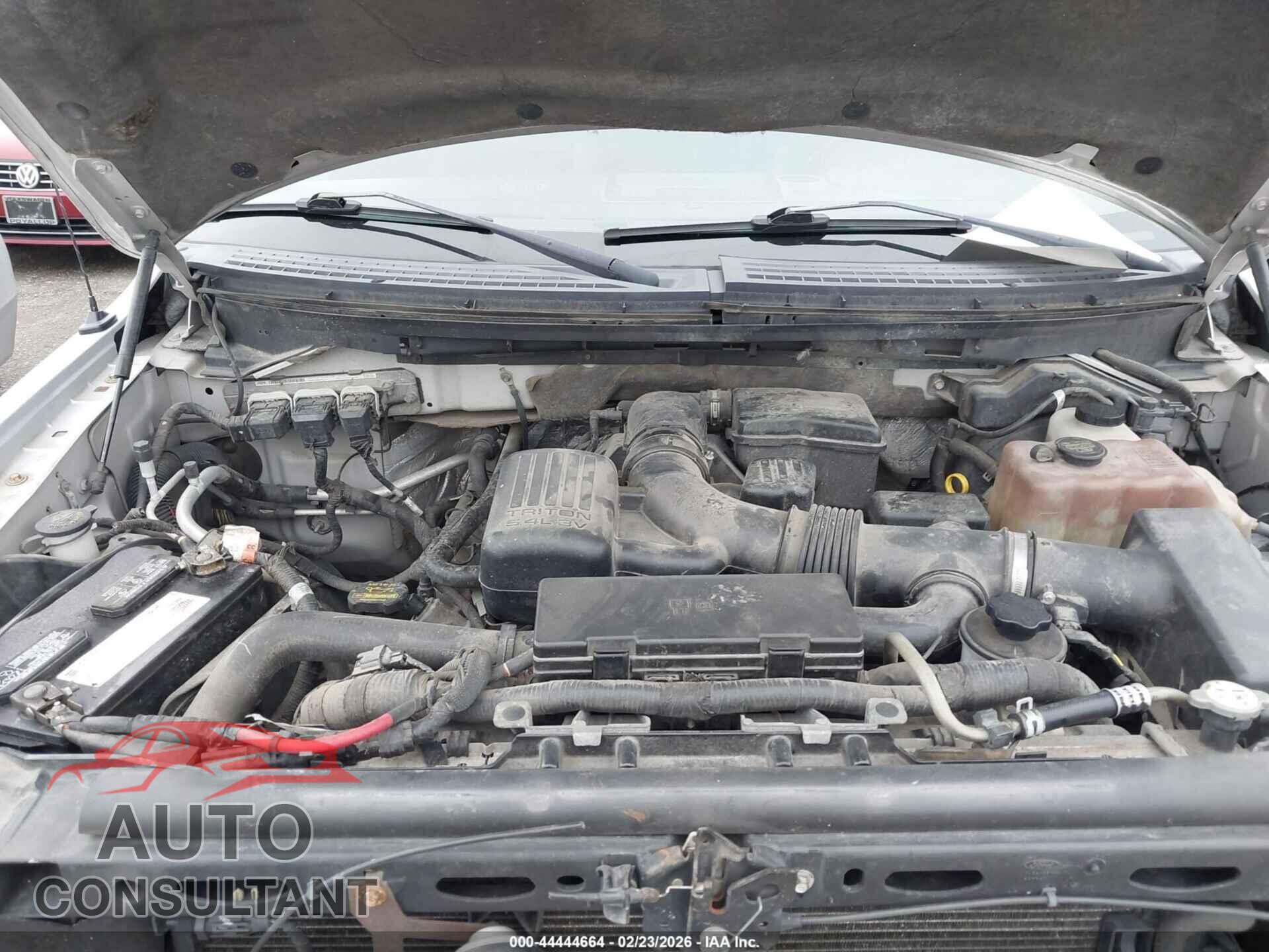 FORD F-150 2010 - 1FTFW1EV3AFC40239