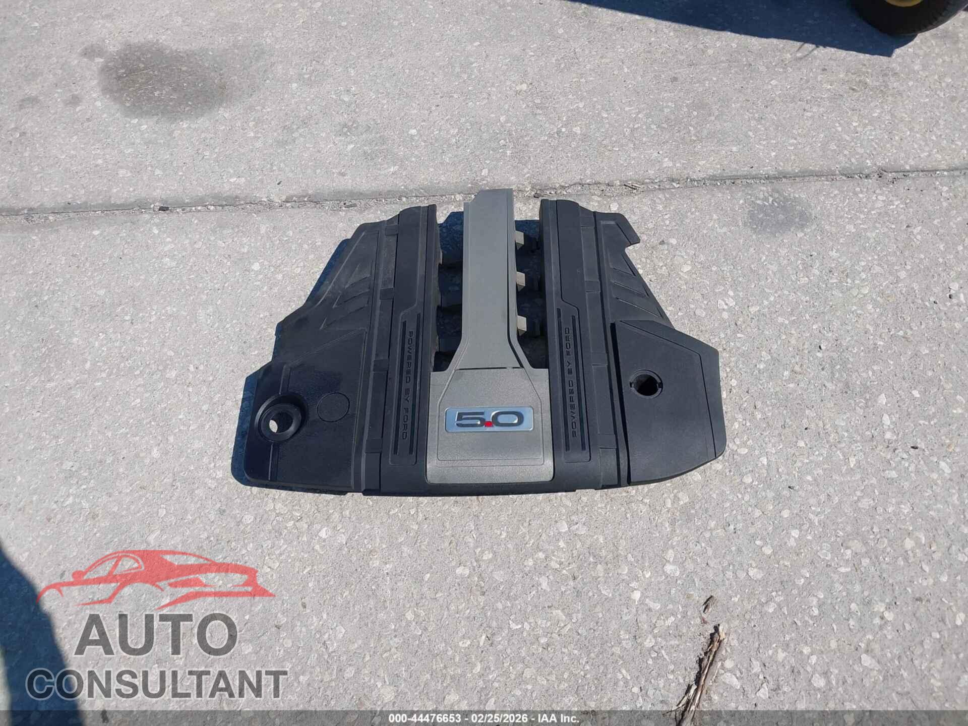 FORD MUSTANG 2019 - 1FA6P8CF8K5195653