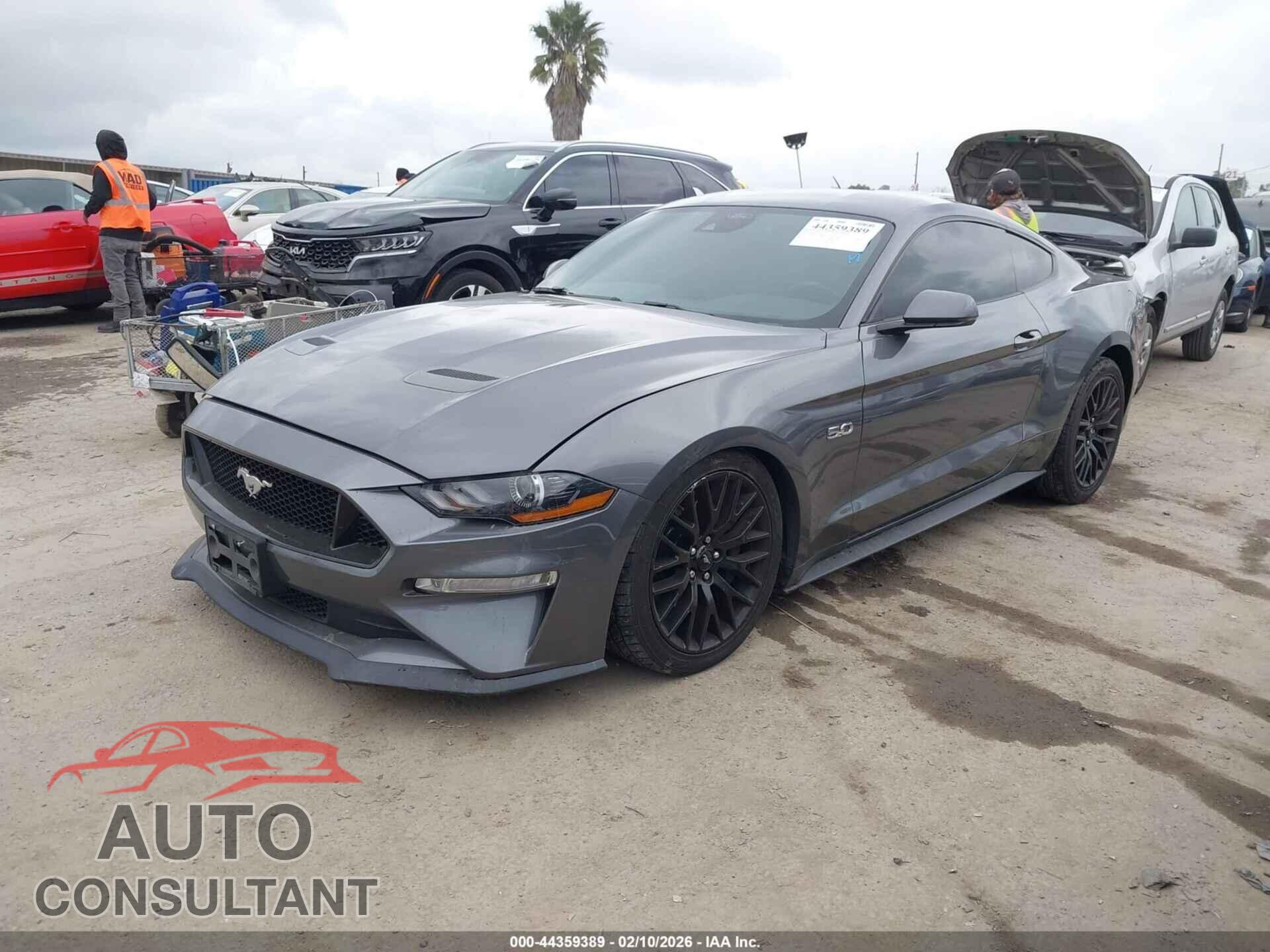 FORD MUSTANG 2021 - 1FA6P8CF7M5111888