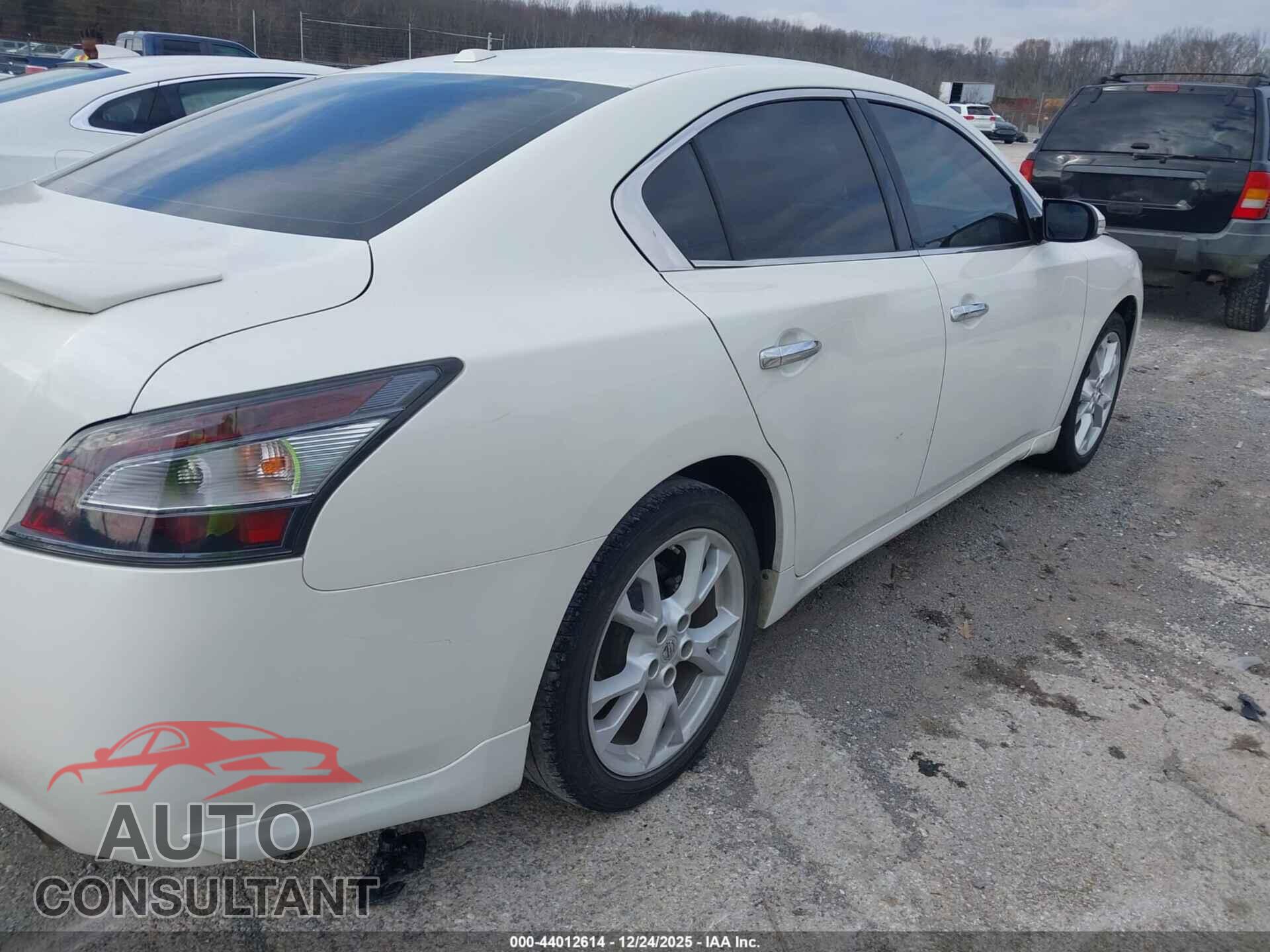 NISSAN MAXIMA 2013 - 1N4AA5APXDC838797