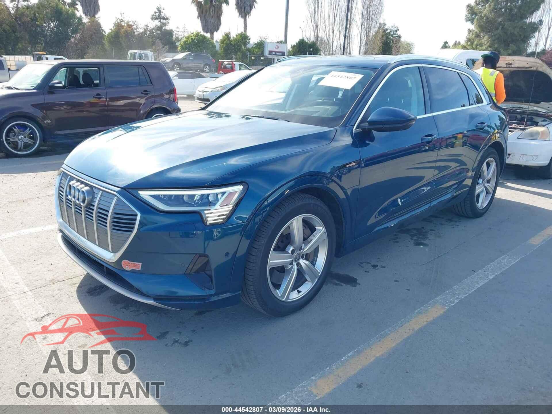 AUDI E-TRON 2019 - WA1VAAGE0KB017232