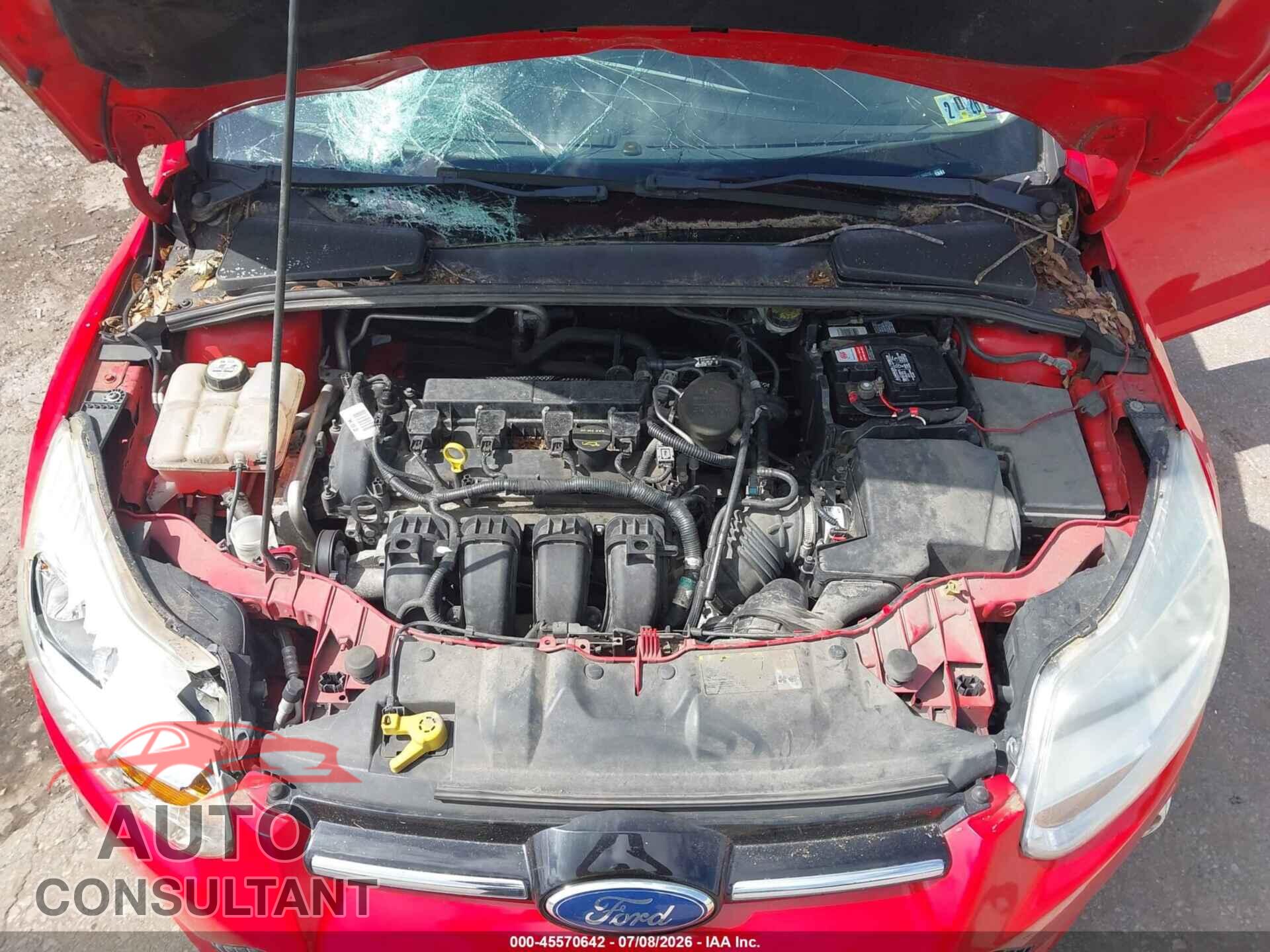 FORD FOCUS 2012 - 1FAHP3K20CL194312
