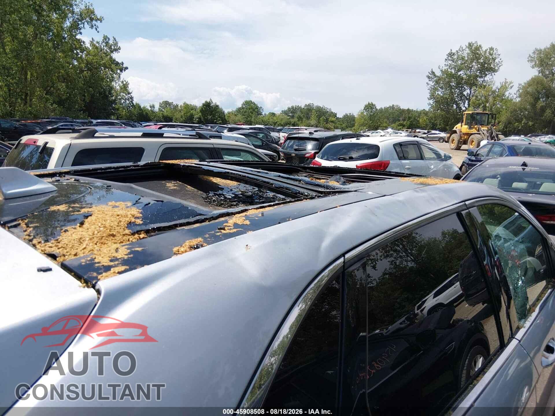 FORD EDGE 2019 - 2FMPK4K99KBC17247