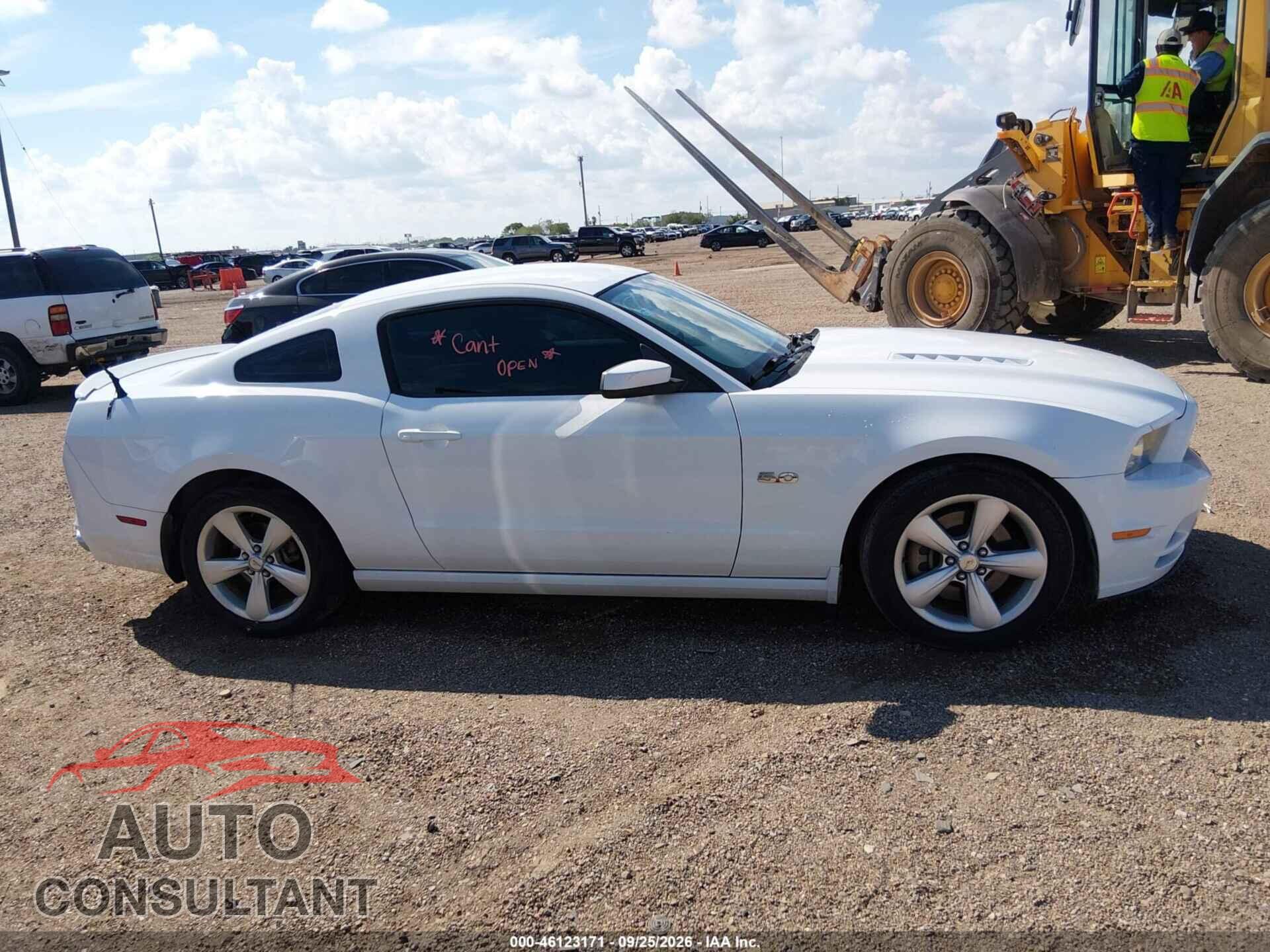 FORD MUSTANG 2014 - 1ZVBP8CF7E5326663