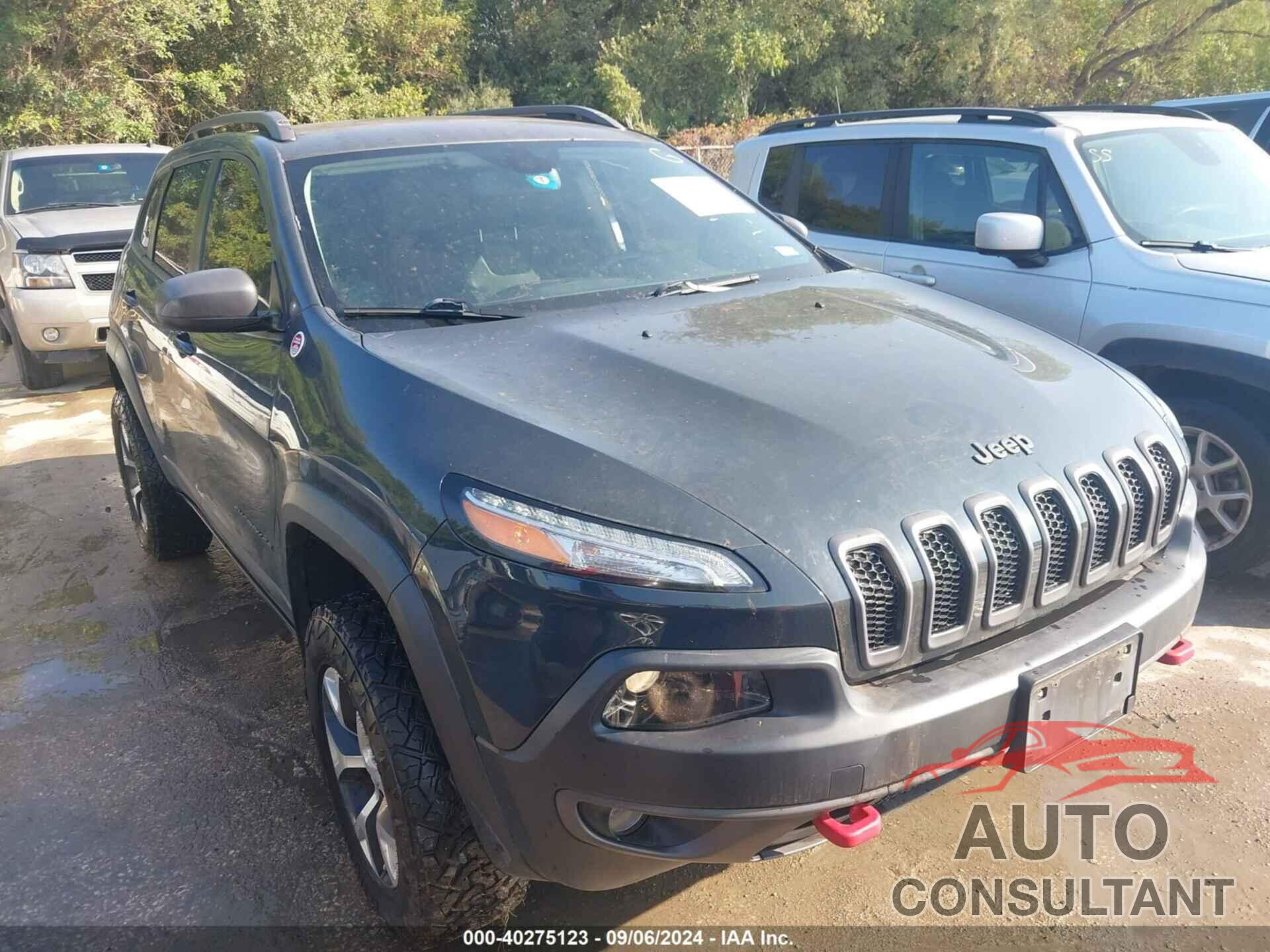 JEEP CHEROKEE 2016 - 1C4PJMBB8GW269355
