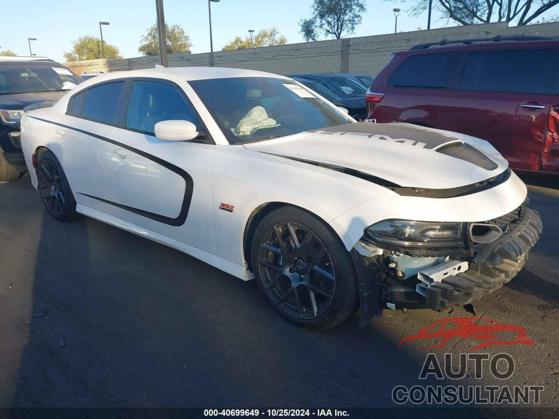 DODGE CHARGER 2019 - 2C3CDXGJ2KH518994