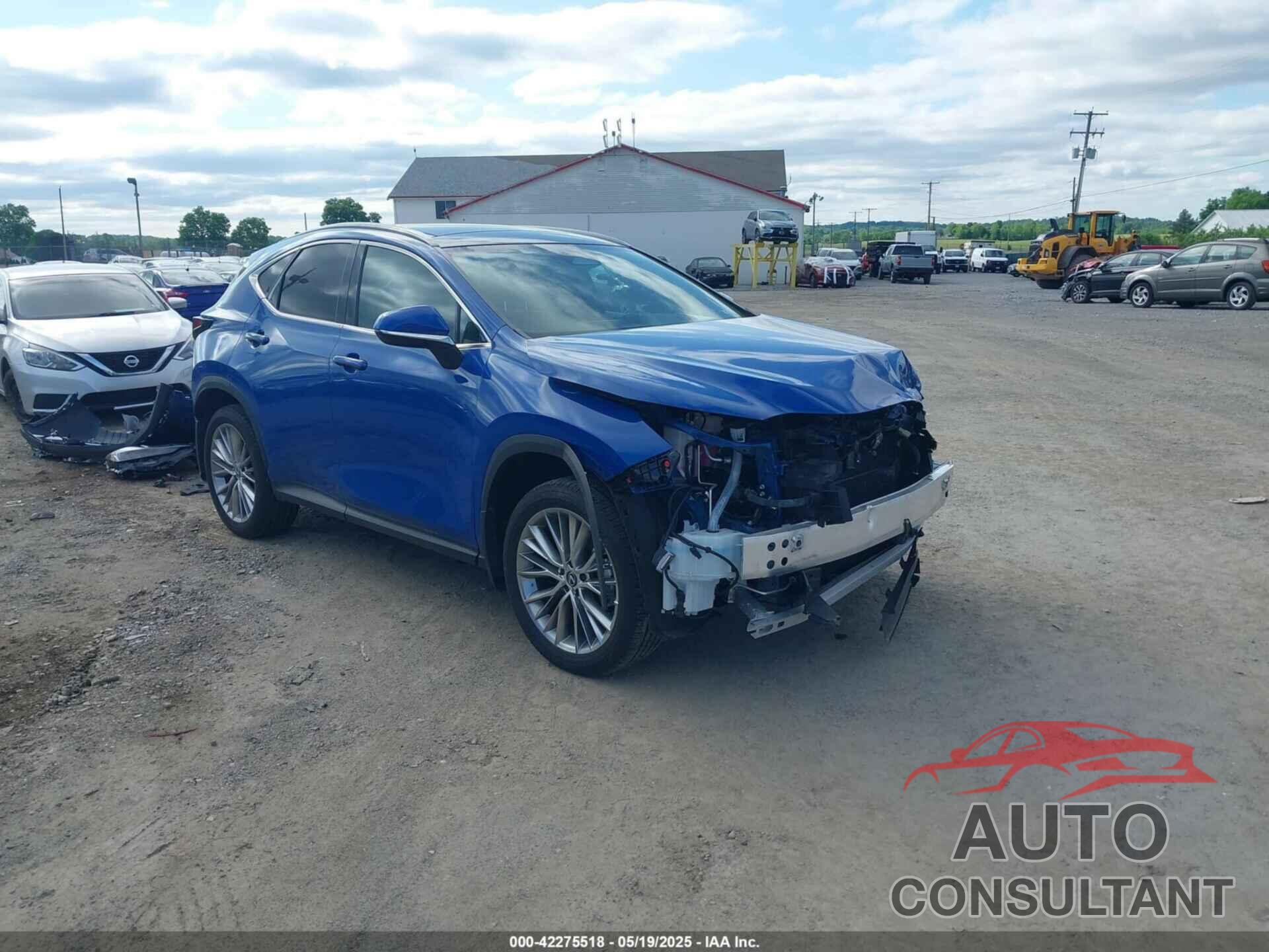 LEXUS NX 350H 2024 - 2T2HKCEZ4RC025407