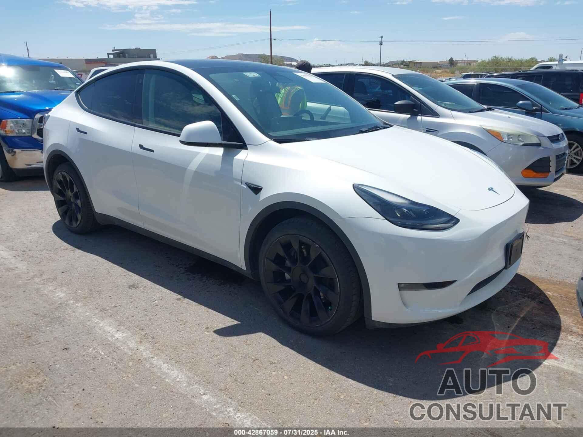 TESLA MODEL Y 2023 - 7SAYGDEE5PF635286