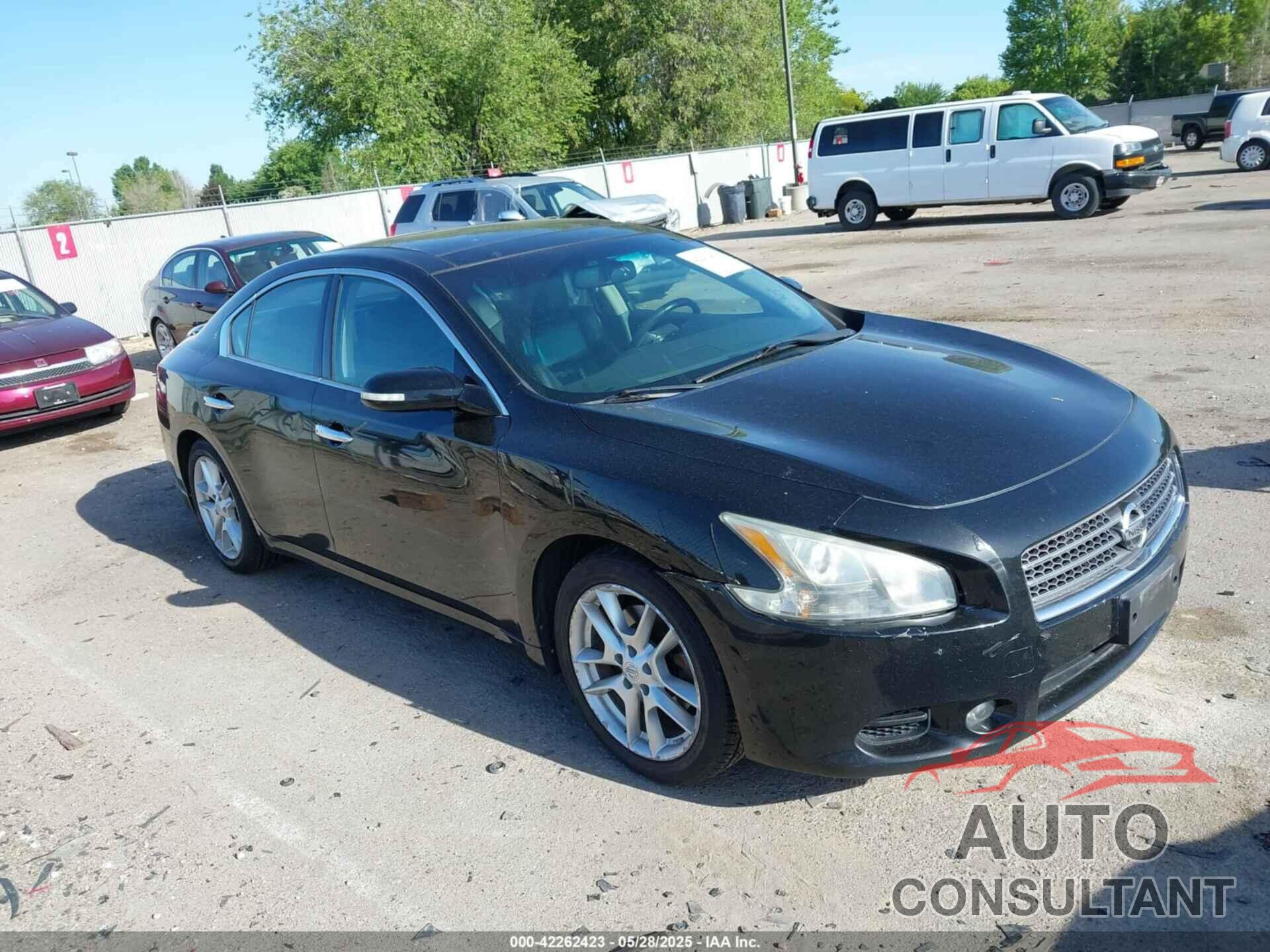 NISSAN MAXIMA 2011 - 1N4AA5APXBC862174