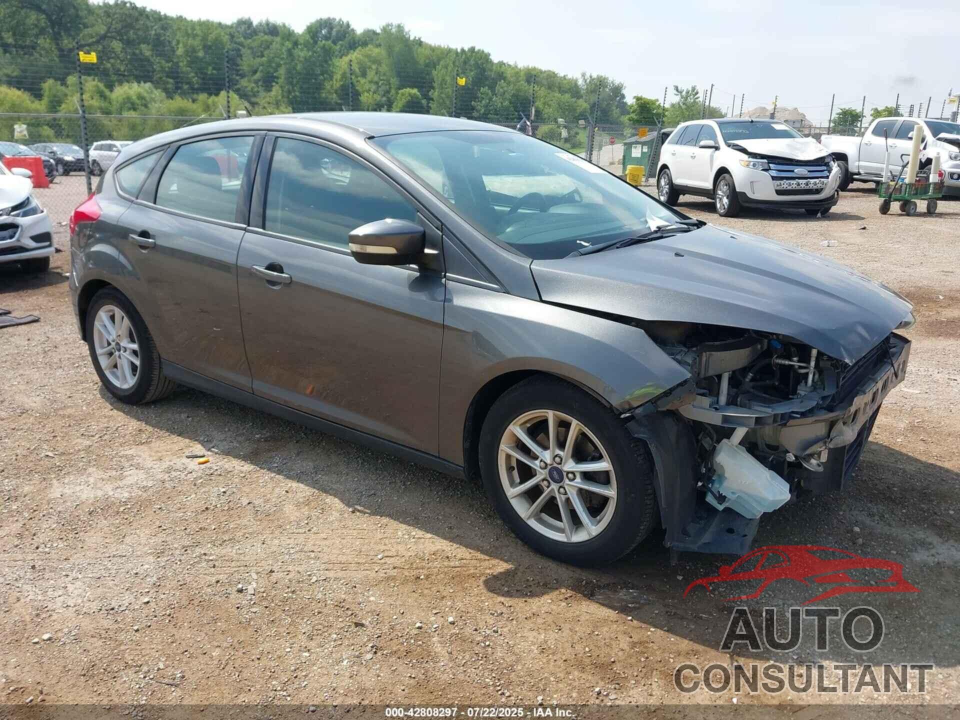 FORD FOCUS 2016 - 1FADP3K20GL257347