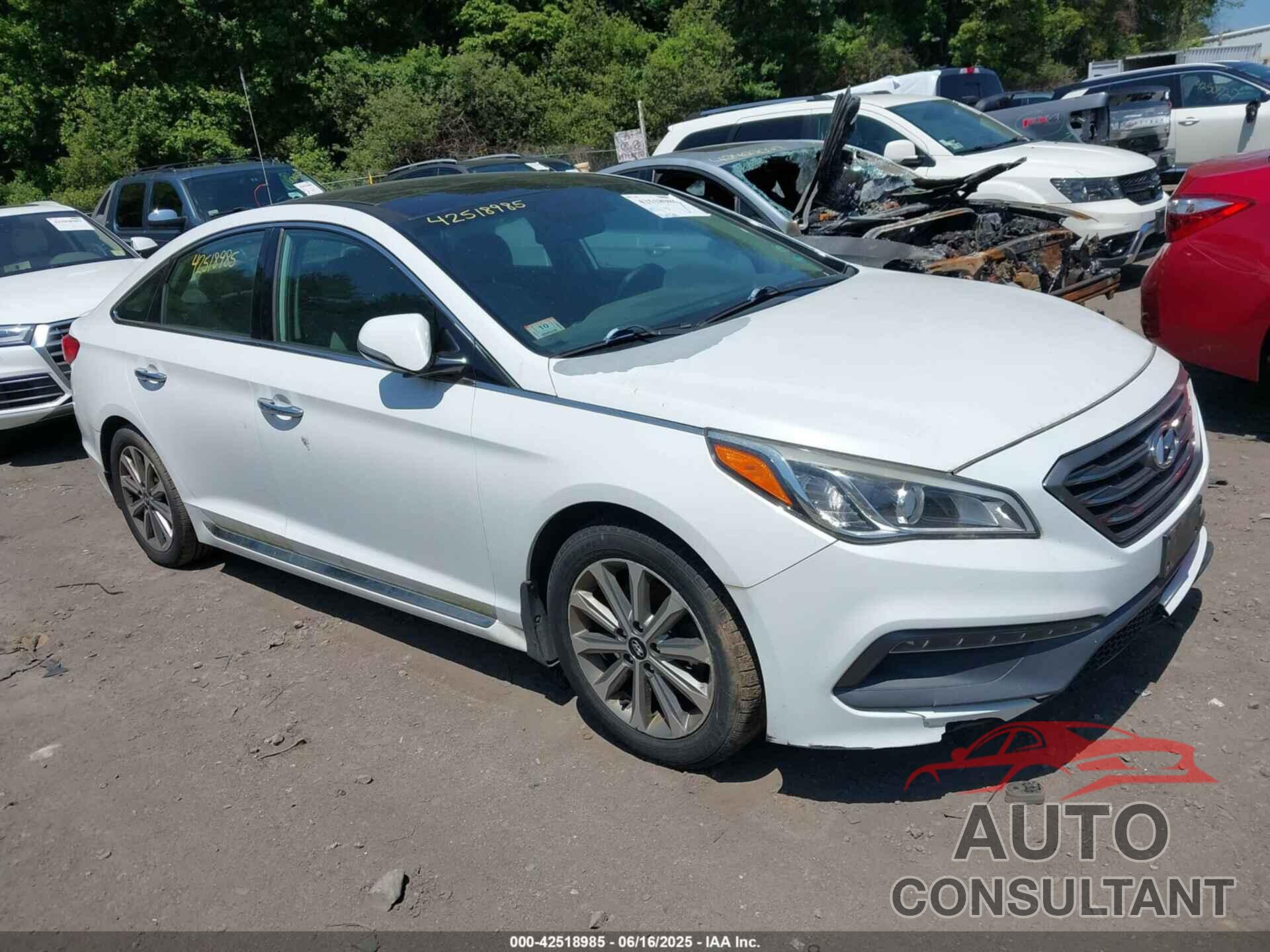 HYUNDAI SONATA 2016 - 5NPE34AF1GH290365