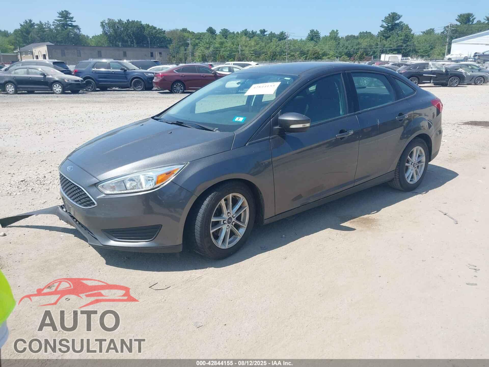 FORD FOCUS 2016 - 1FADP3F21GL334804