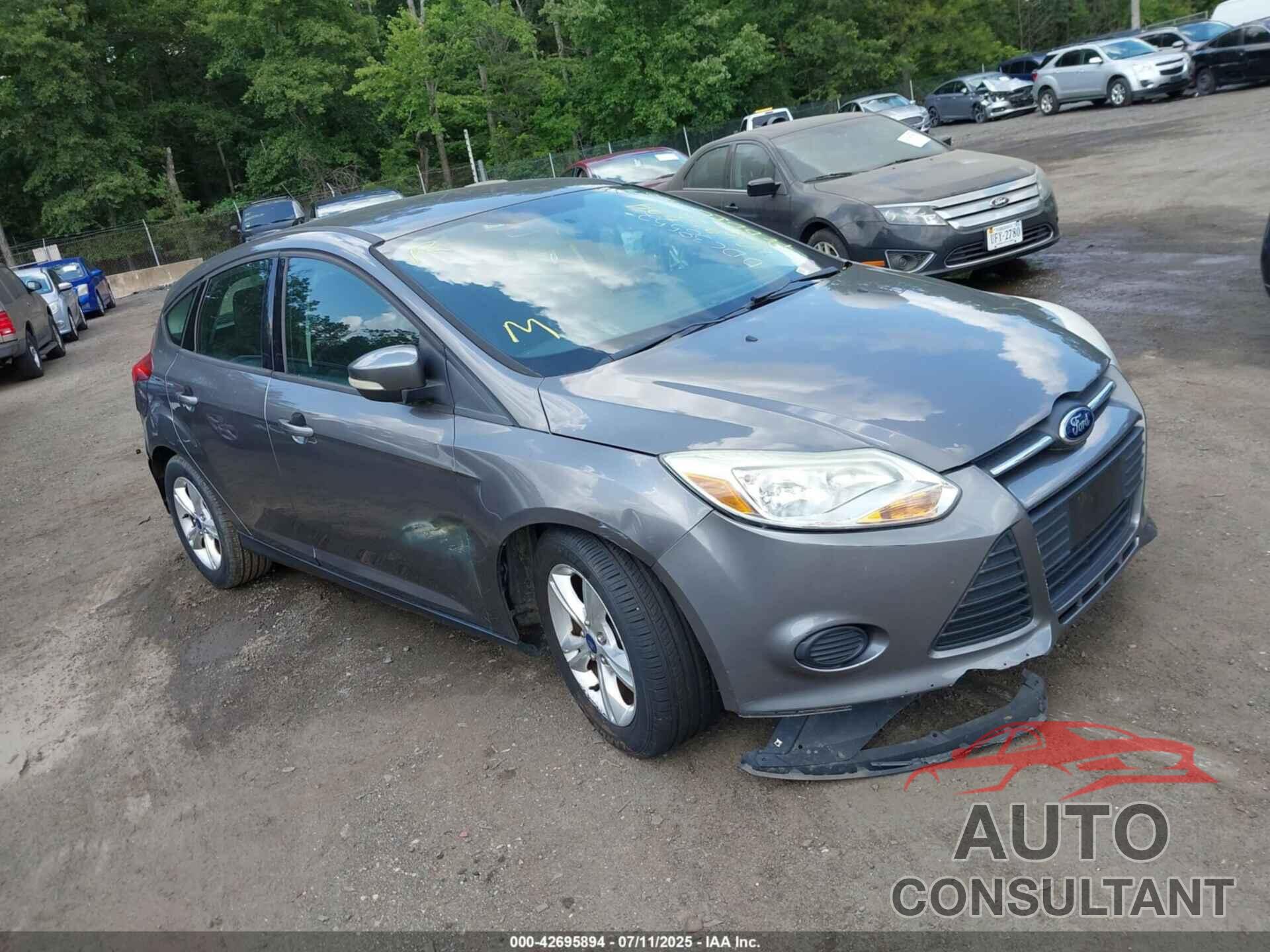 FORD FOCUS 2013 - 1FADP3K24DL181689