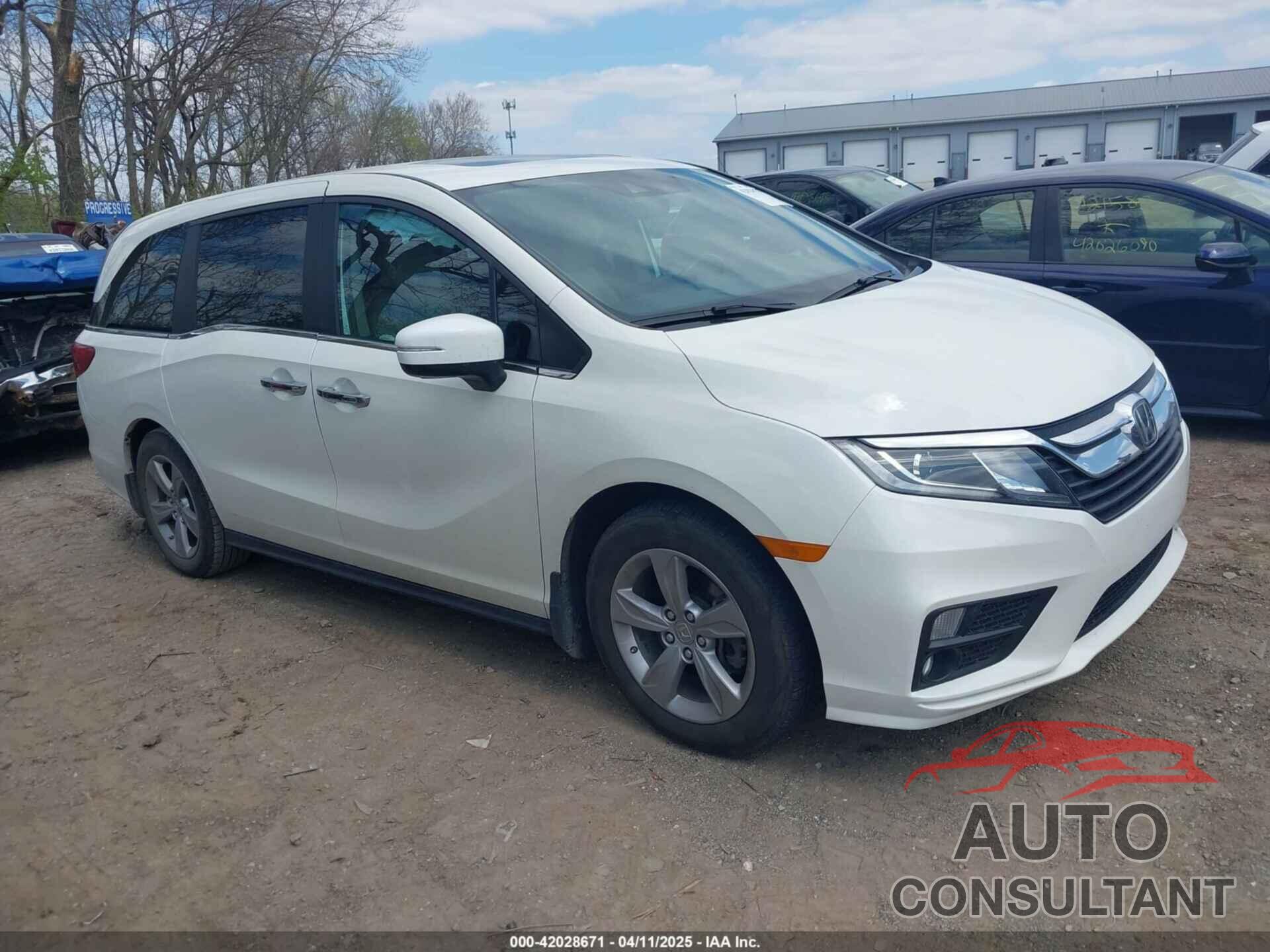HONDA ODYSSEY 2019 - 5FNRL6H76KB020907