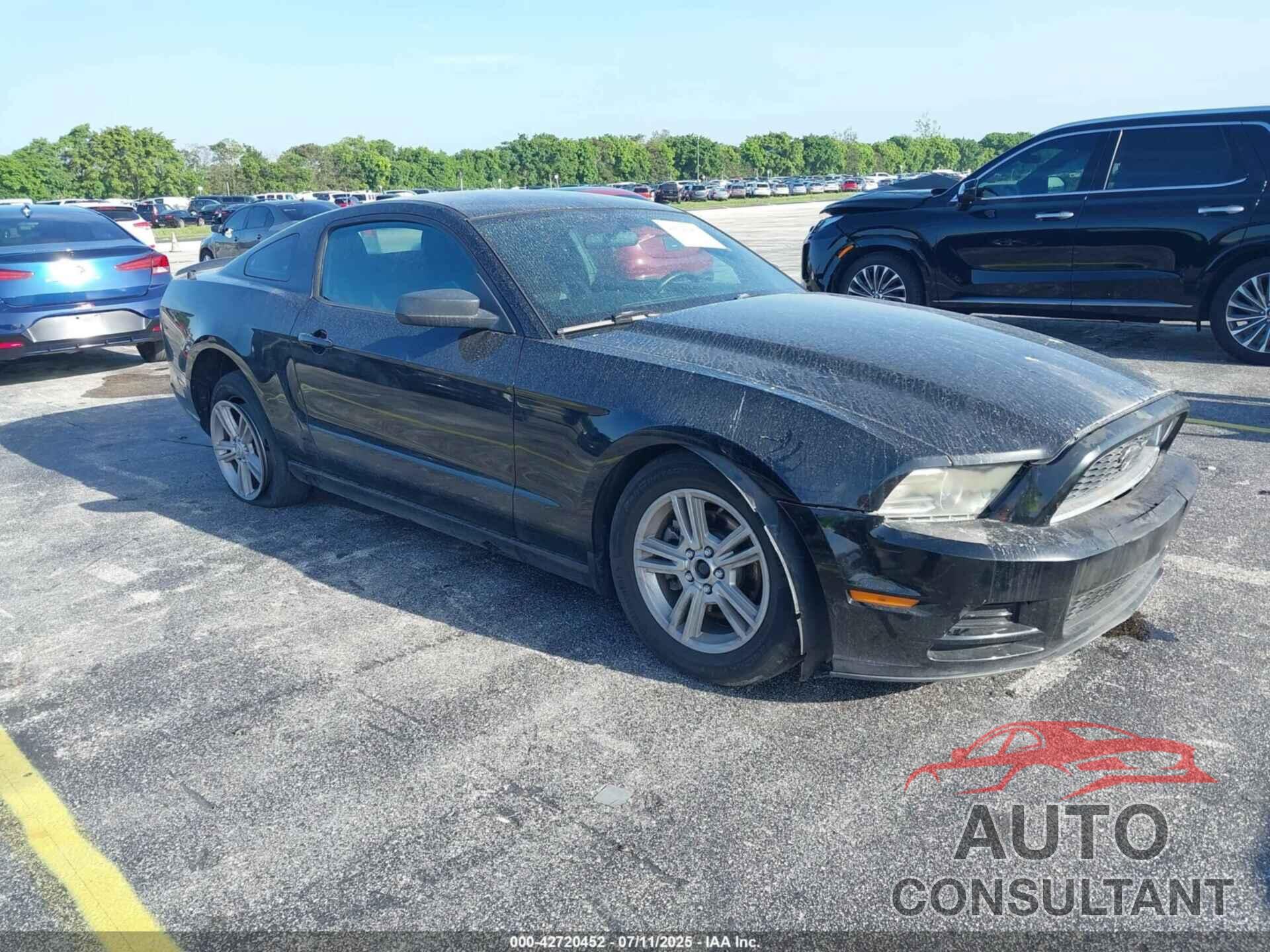 FORD MUSTANG 2013 - 1ZVBP8AM9D5206864