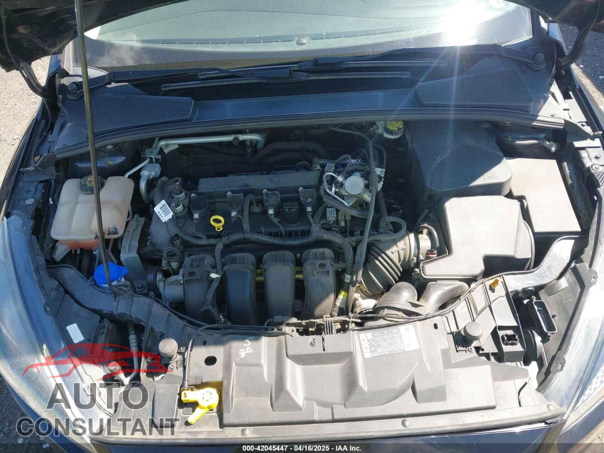FORD FOCUS 2016 - 1FADP3K23GL377157