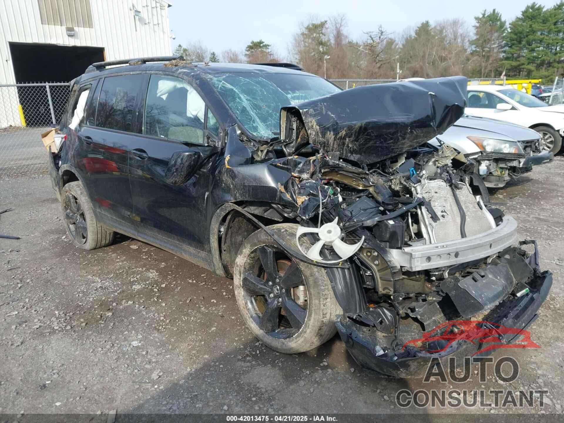 HONDA PASSPORT 2019 - 5FNYF8H00KB010472