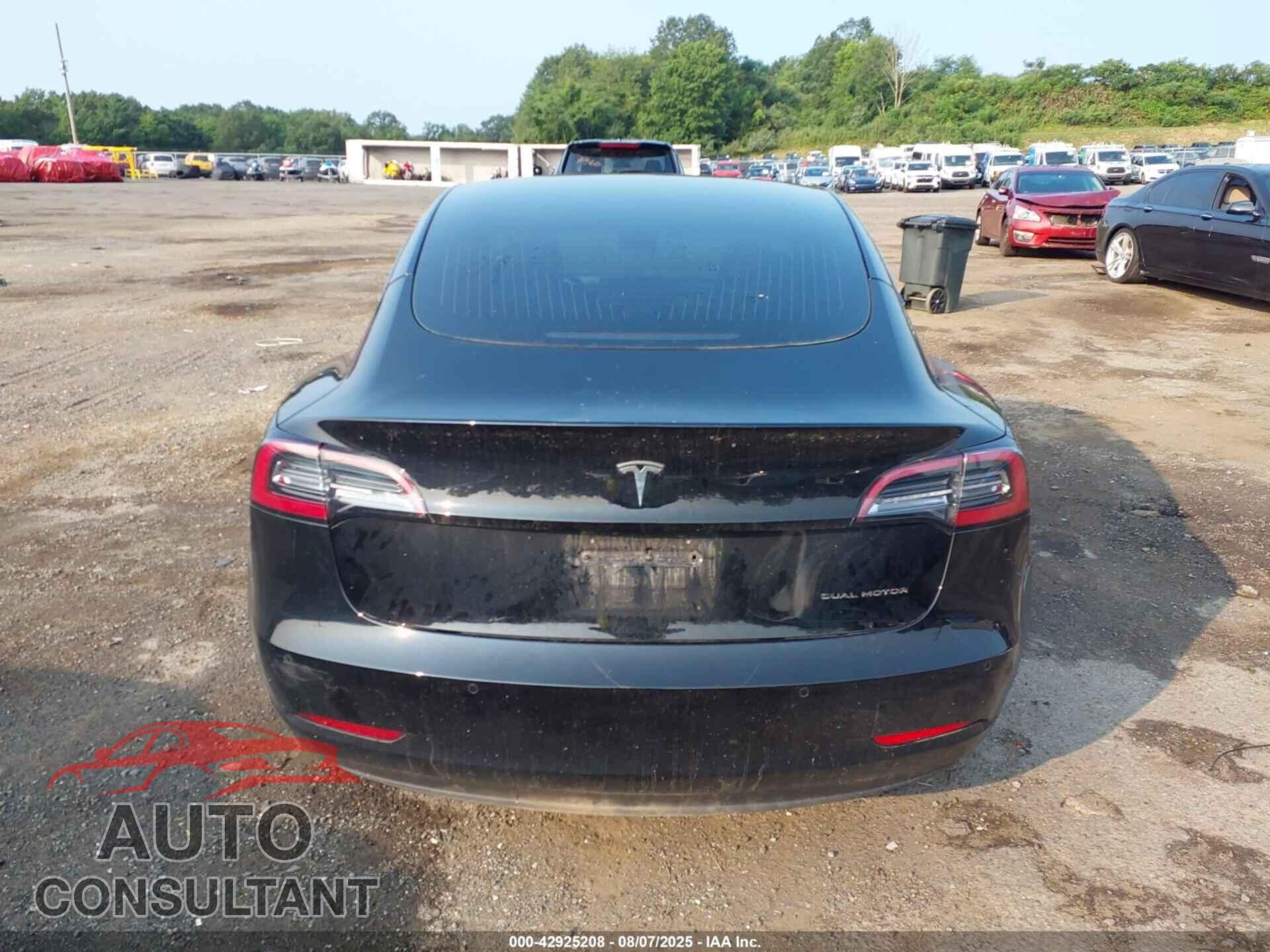 TESLA MODEL 3 2019 - 5YJ3E1EB0KF384879