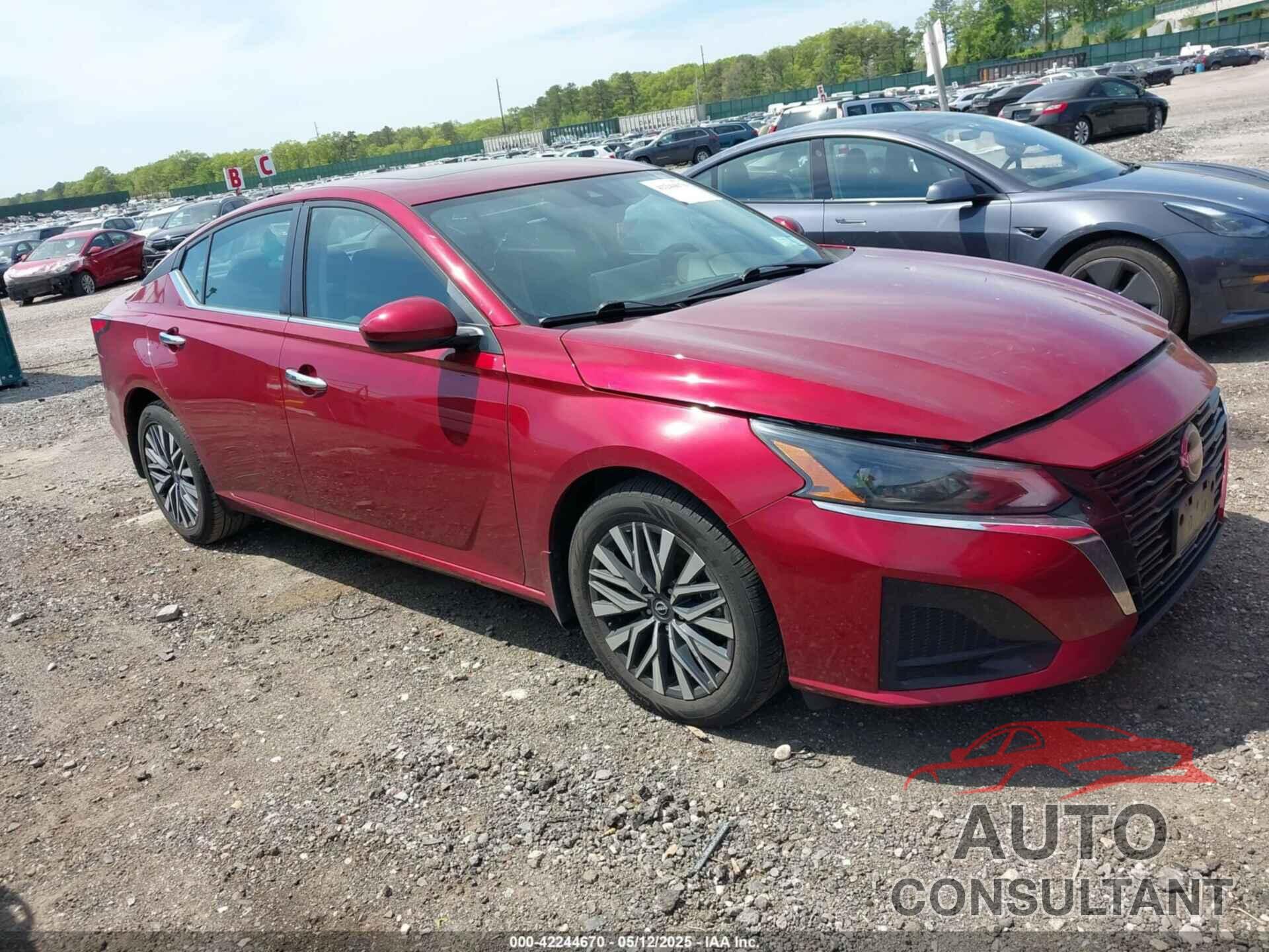 NISSAN ALTIMA 2023 - 1N4BL4DV6PN305342