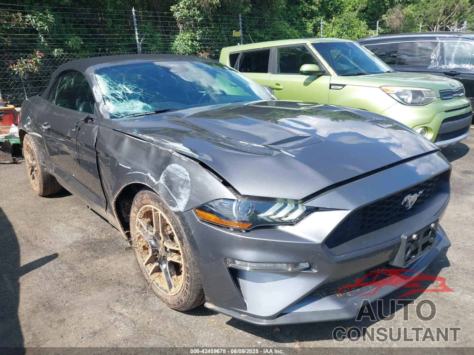 FORD MUSTANG 2021 - 1FATP8UH2M5104883