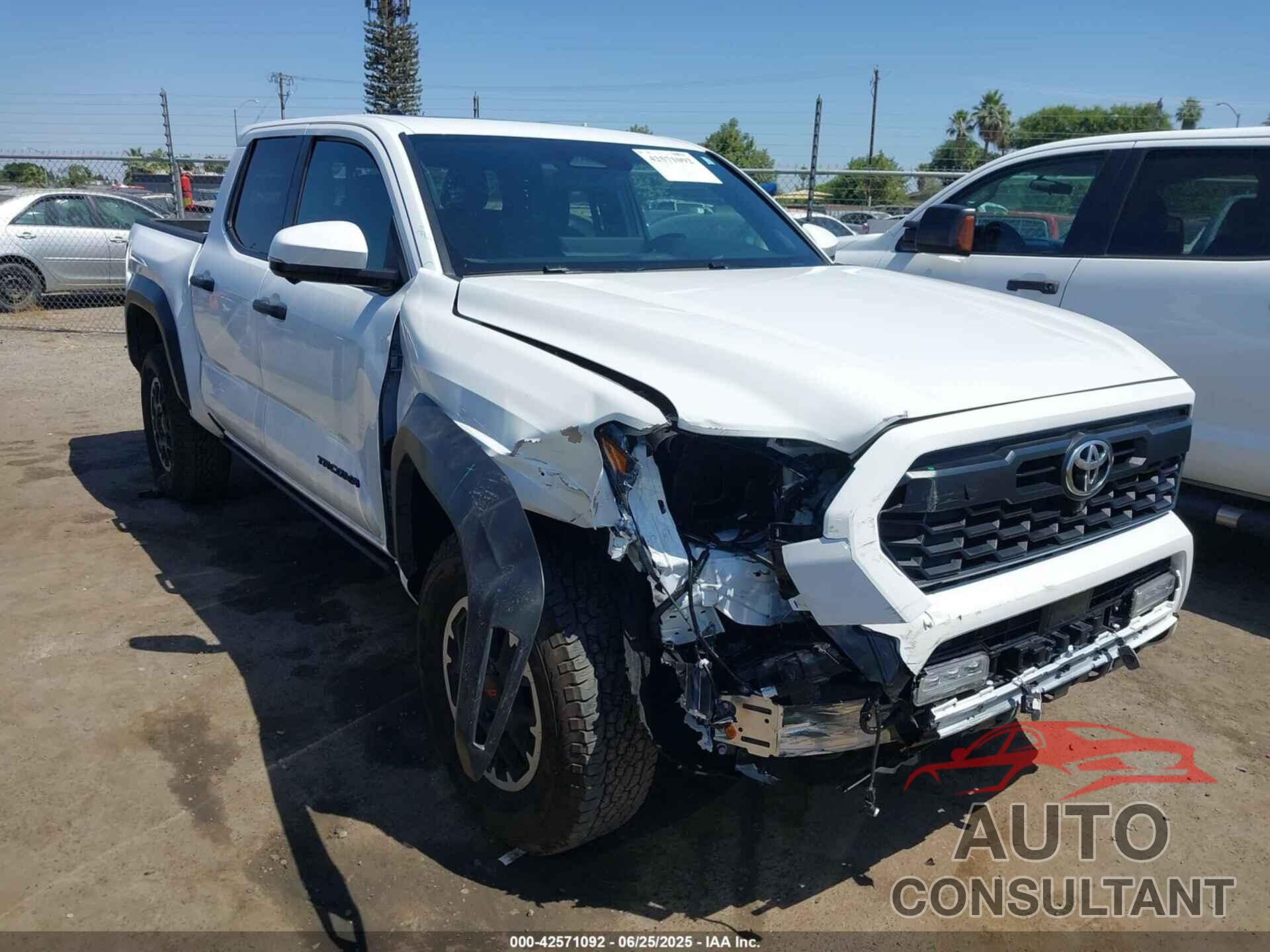 TOYOTA TACOMA 2024 - 3TMLB5JN6RM006250