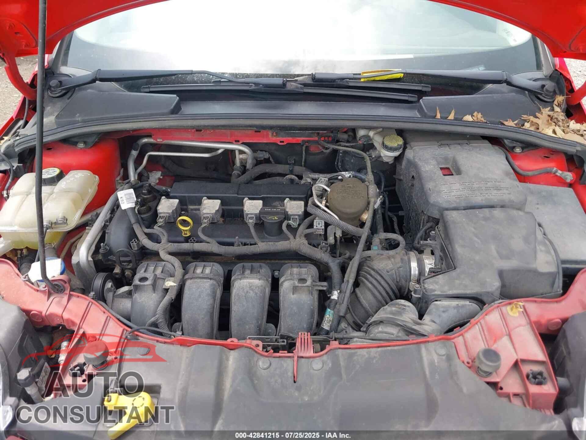 FORD FOCUS 2012 - 1FAHP3K29CL178576