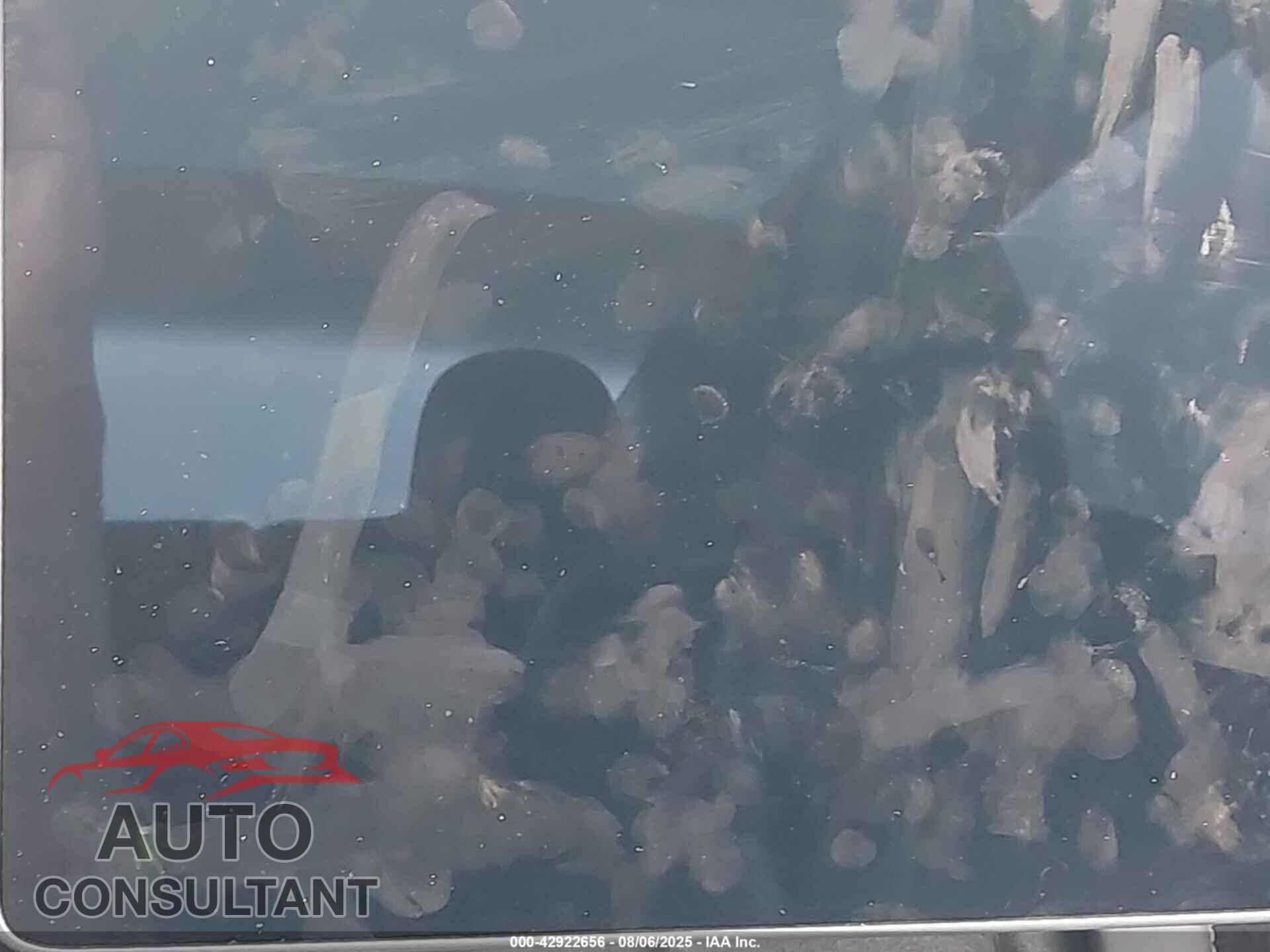 TESLA MODEL 3 2021 - 5YJ3E1EBXMF855651