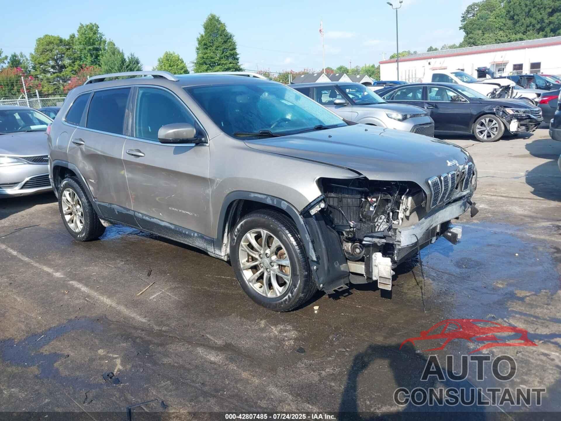 JEEP CHEROKEE 2019 - 1C4PJLLB1KD266004