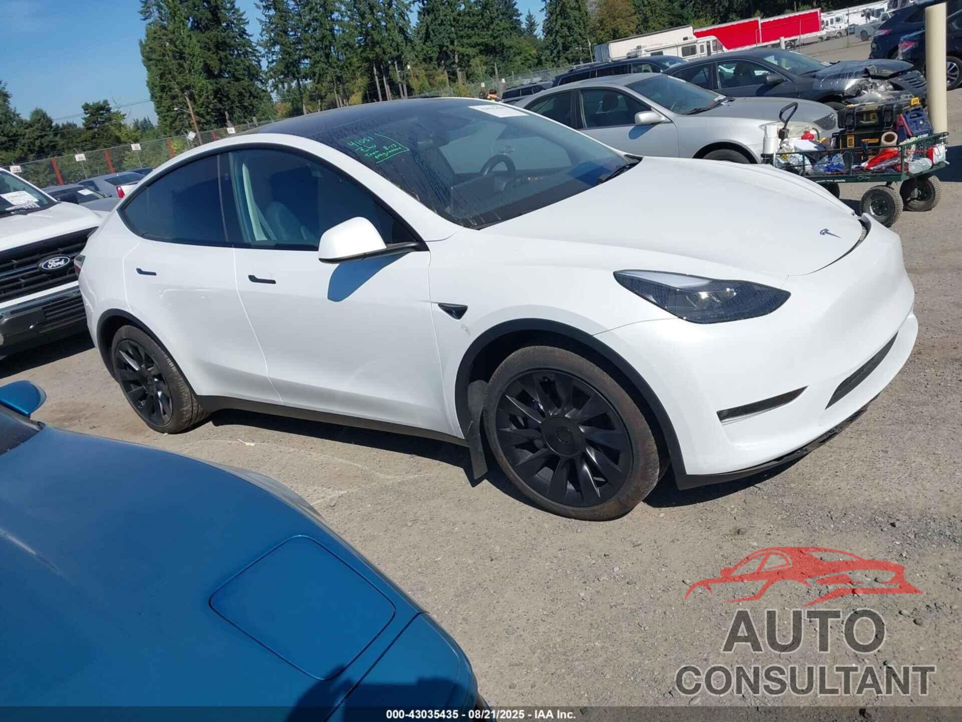 TESLA MODEL Y 2023 - 7SAYGDED7PF969892