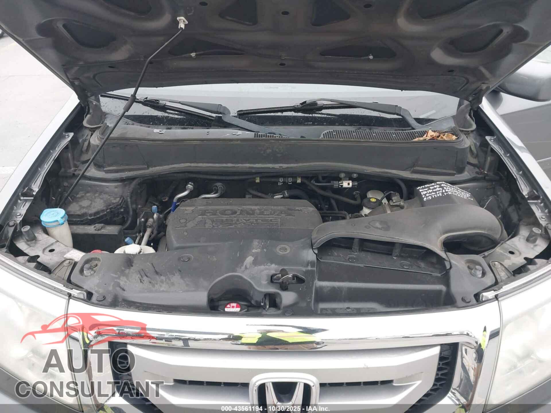 HONDA PILOT 2011 - 5FNYF4H61BB083475