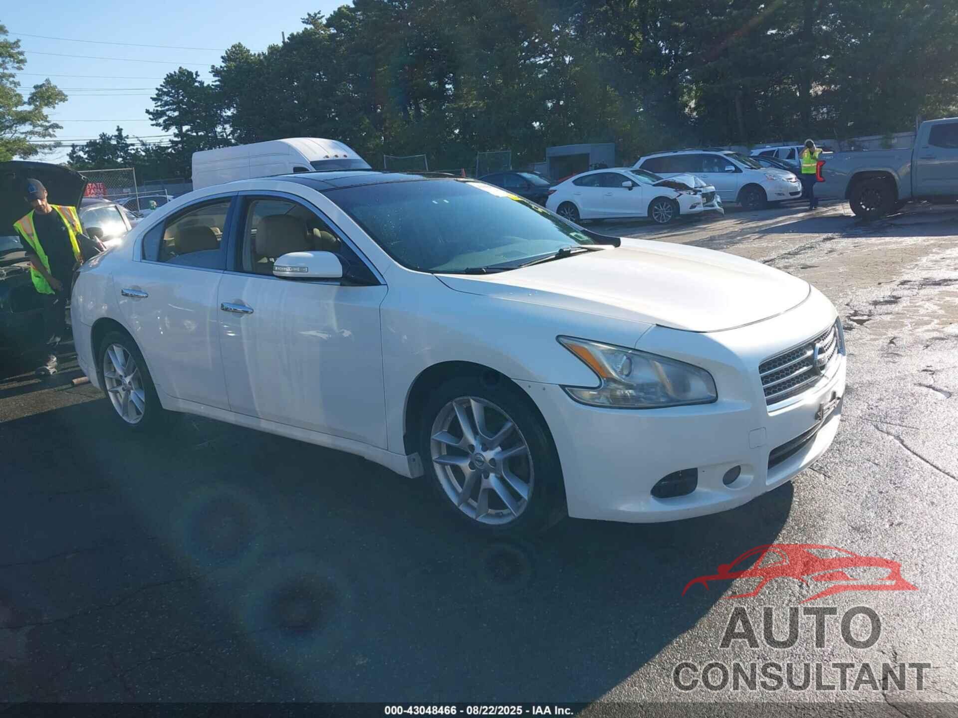 NISSAN MAXIMA 2011 - 1N4AA5AP2BC856238