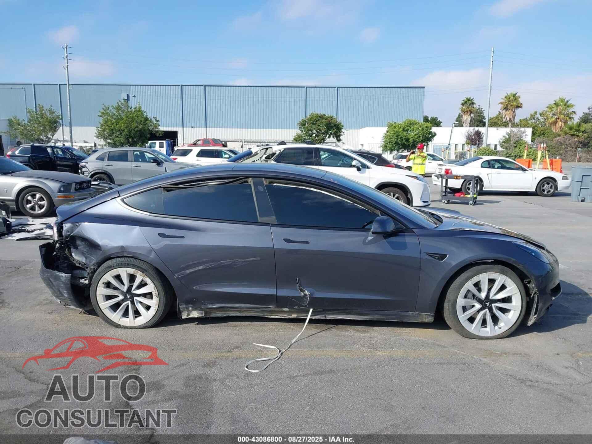 TESLA MODEL 3 2023 - 5YJ3E1EA0PF668981