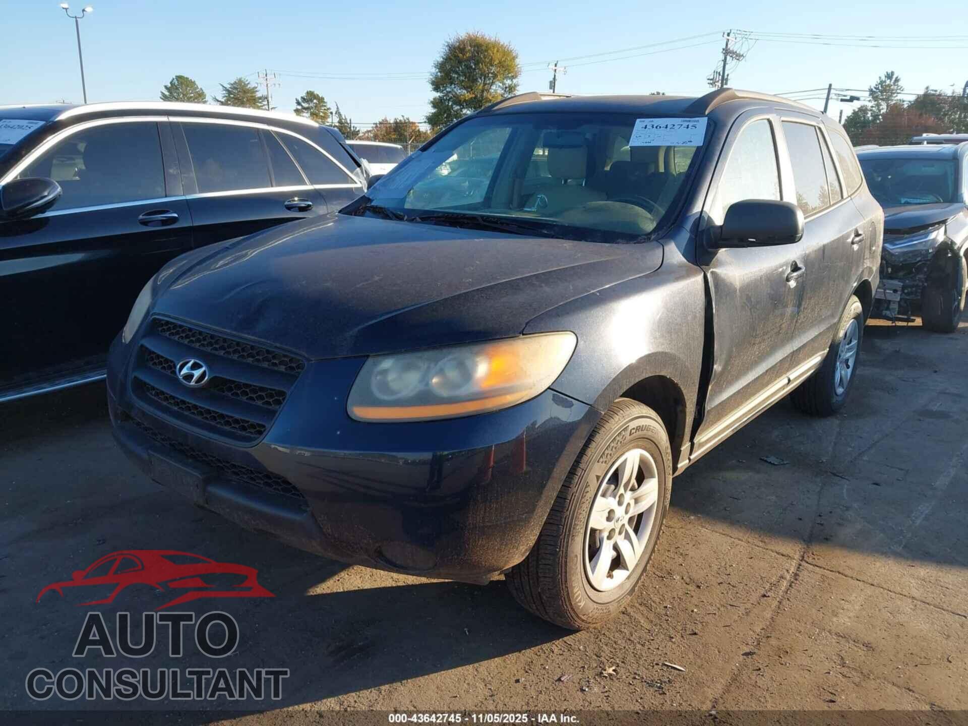 HYUNDAI SANTA FE 2009 - 5NMSG13D09H269735