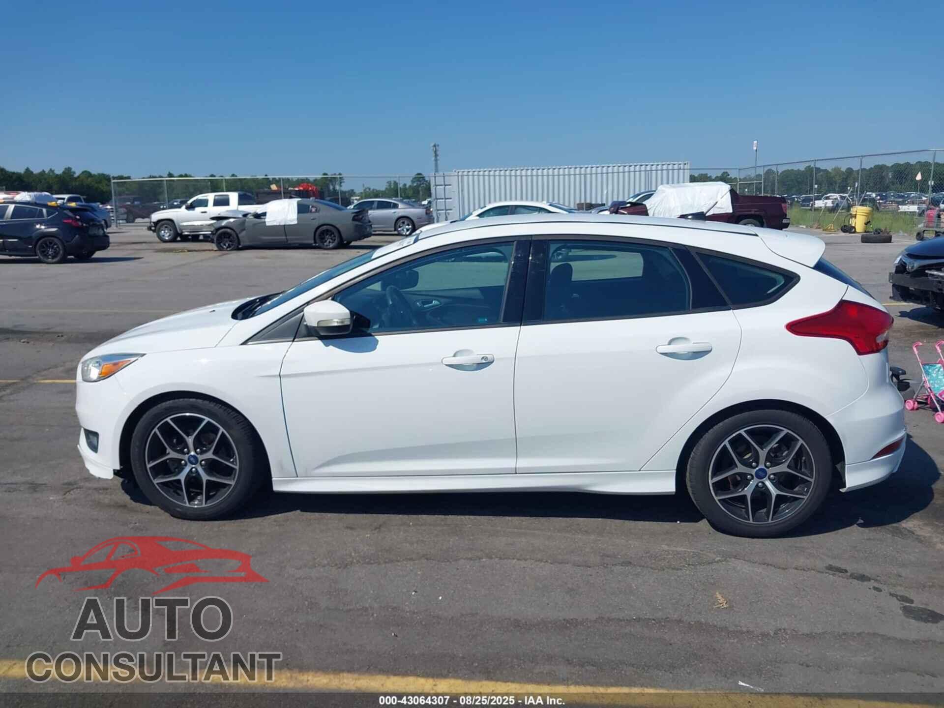 FORD FOCUS 2016 - 1FADP3K24GL331241