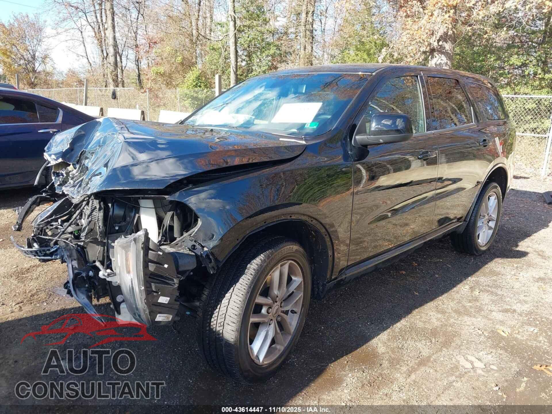 DODGE DURANGO 2024 - 1C4RDJDG2RC176648