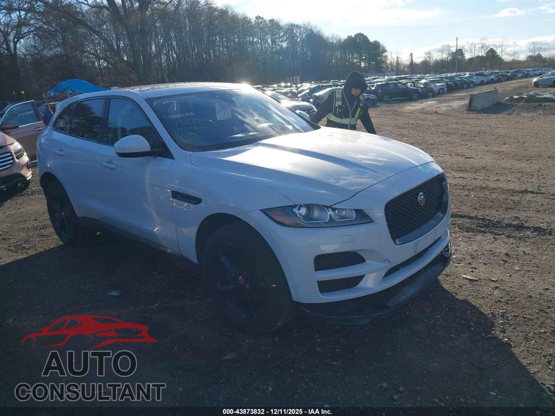JAGUAR F-PACE 2017 - SADCK2BV0HA896693