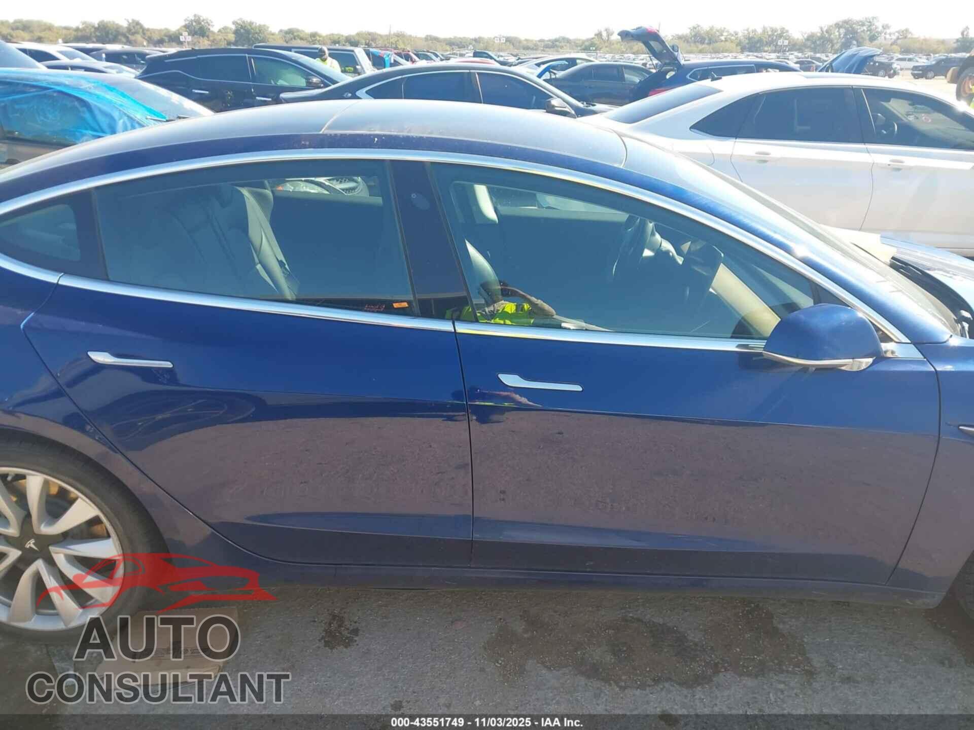 TESLA MODEL 3 2019 - 5YJ3E1EB2KF389954