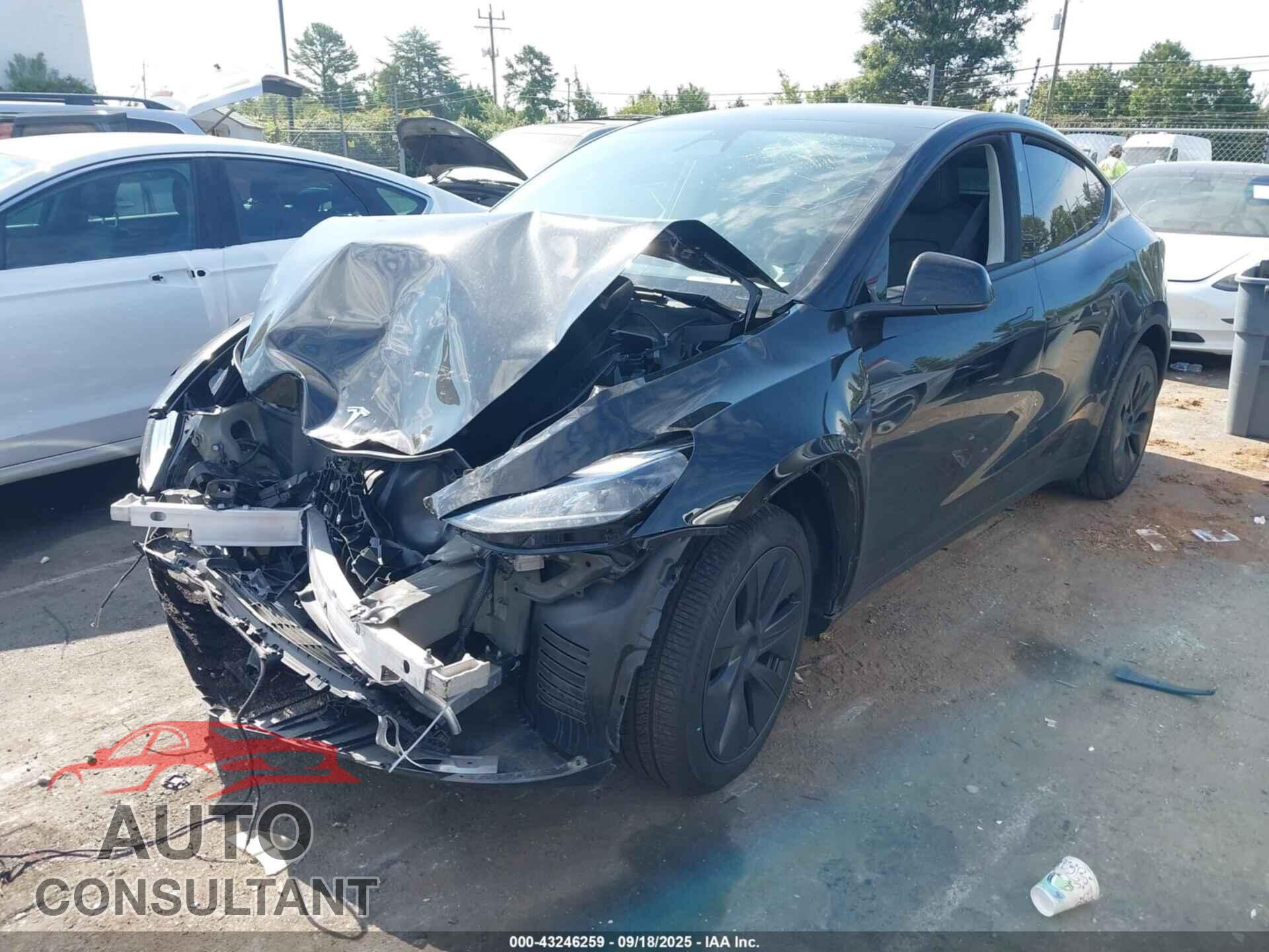 TESLA MODEL Y 2025 - 7SAYGDEE2SA356478