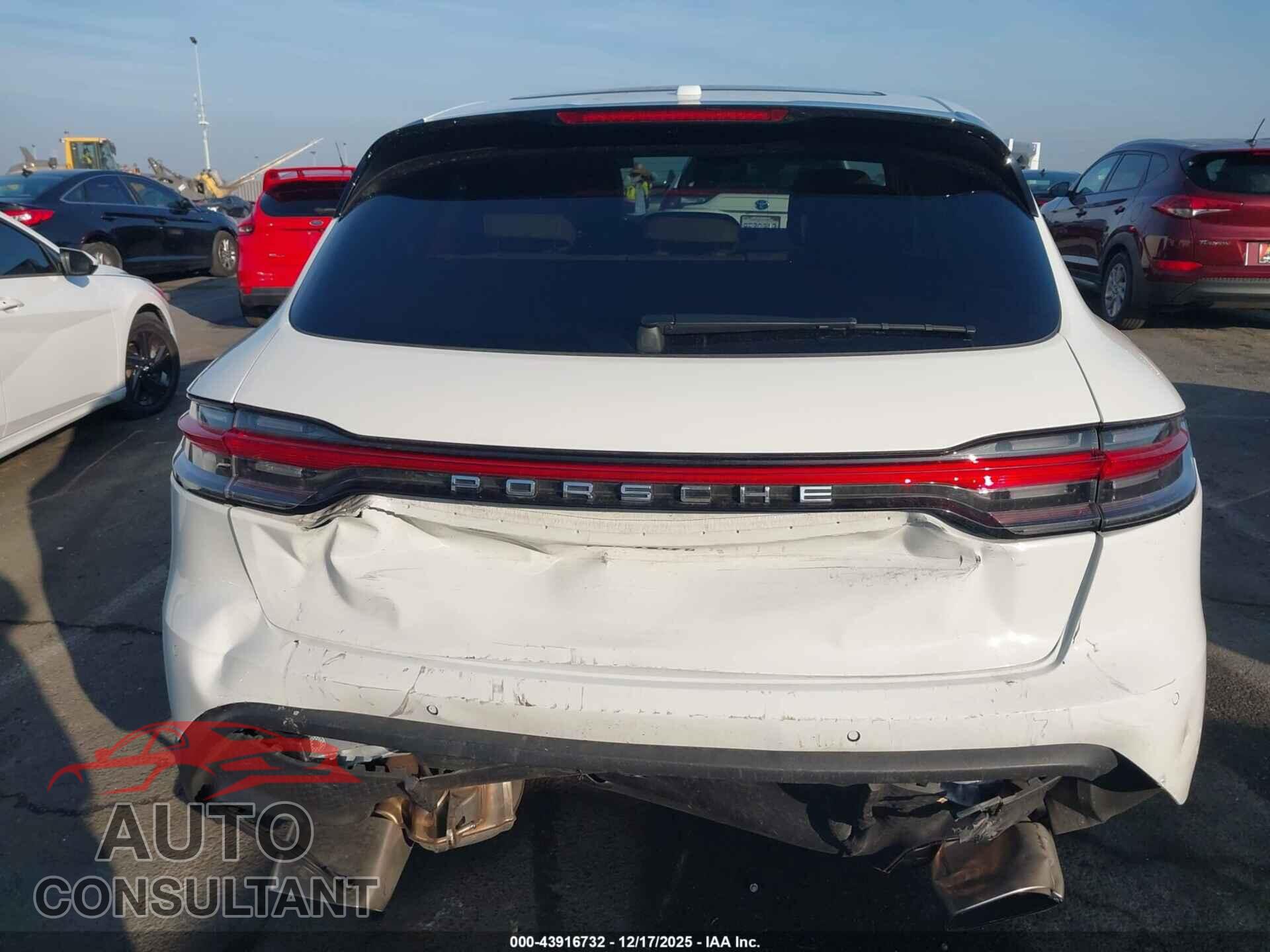 PORSCHE MACAN 2024 - WP1AA2A56RLB16904