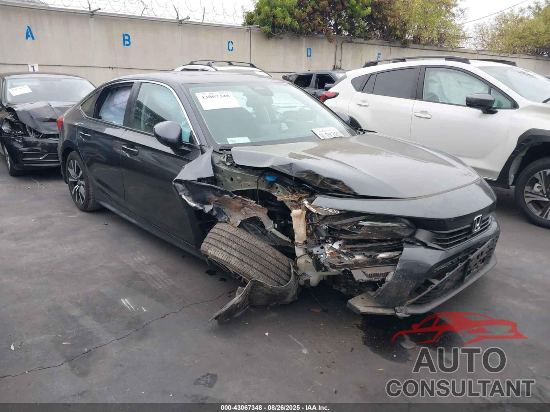 HONDA CIVIC 2024 - 2HGFE1F7XRH319826