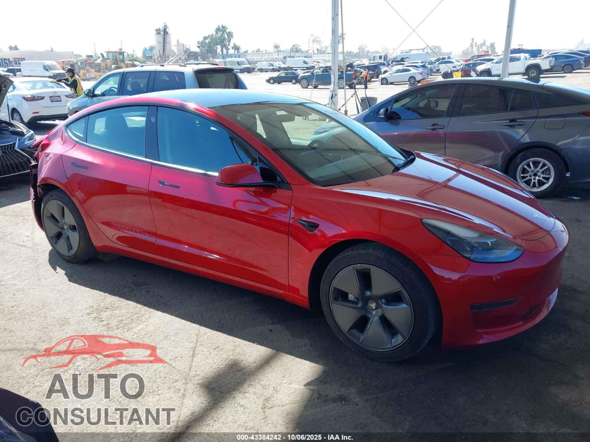 TESLA MODEL 3 2021 - 5YJ3E1EA5MF095085