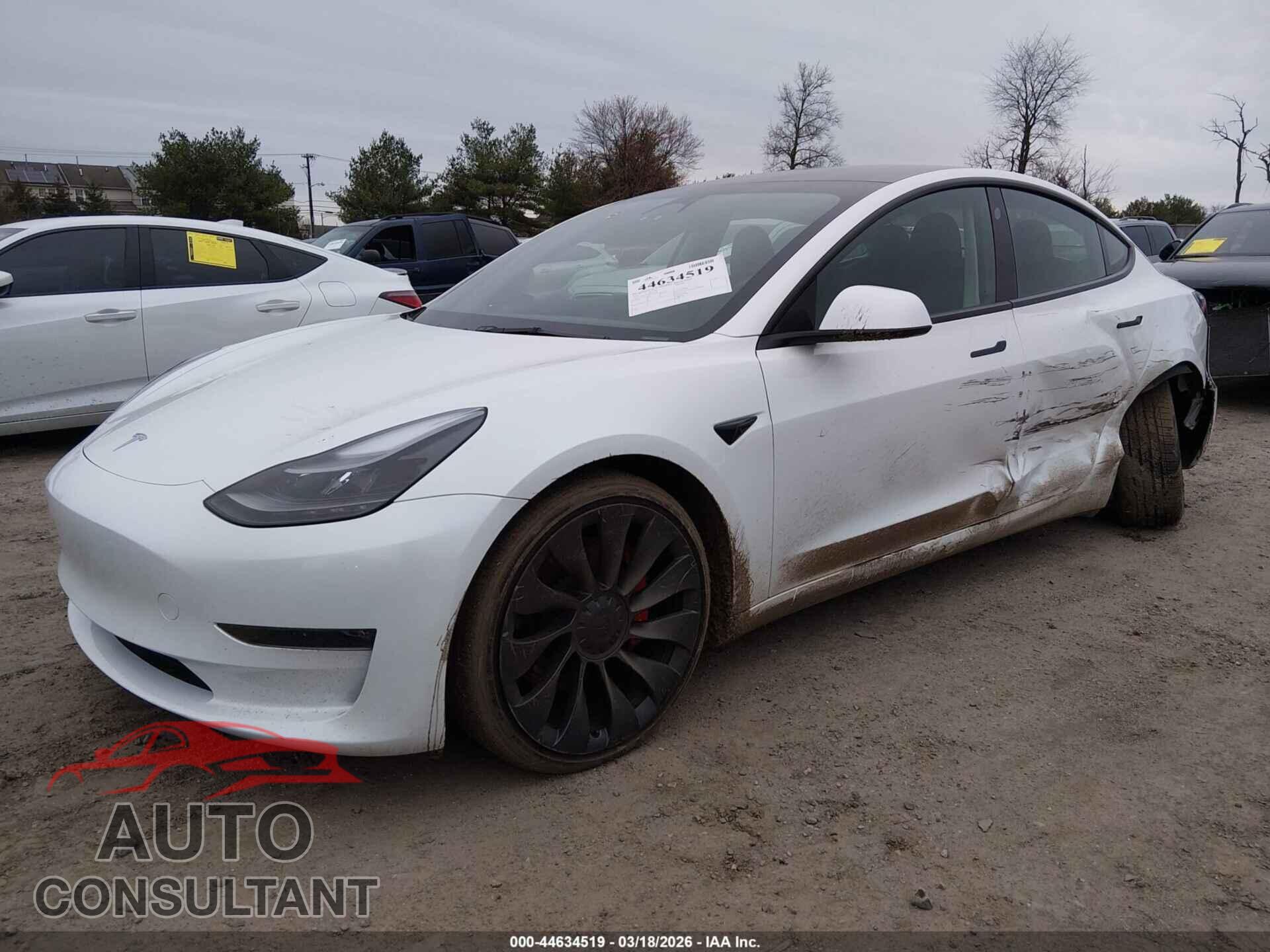 TESLA MODEL 3 2023 - 5YJ3E1EC4PF561496