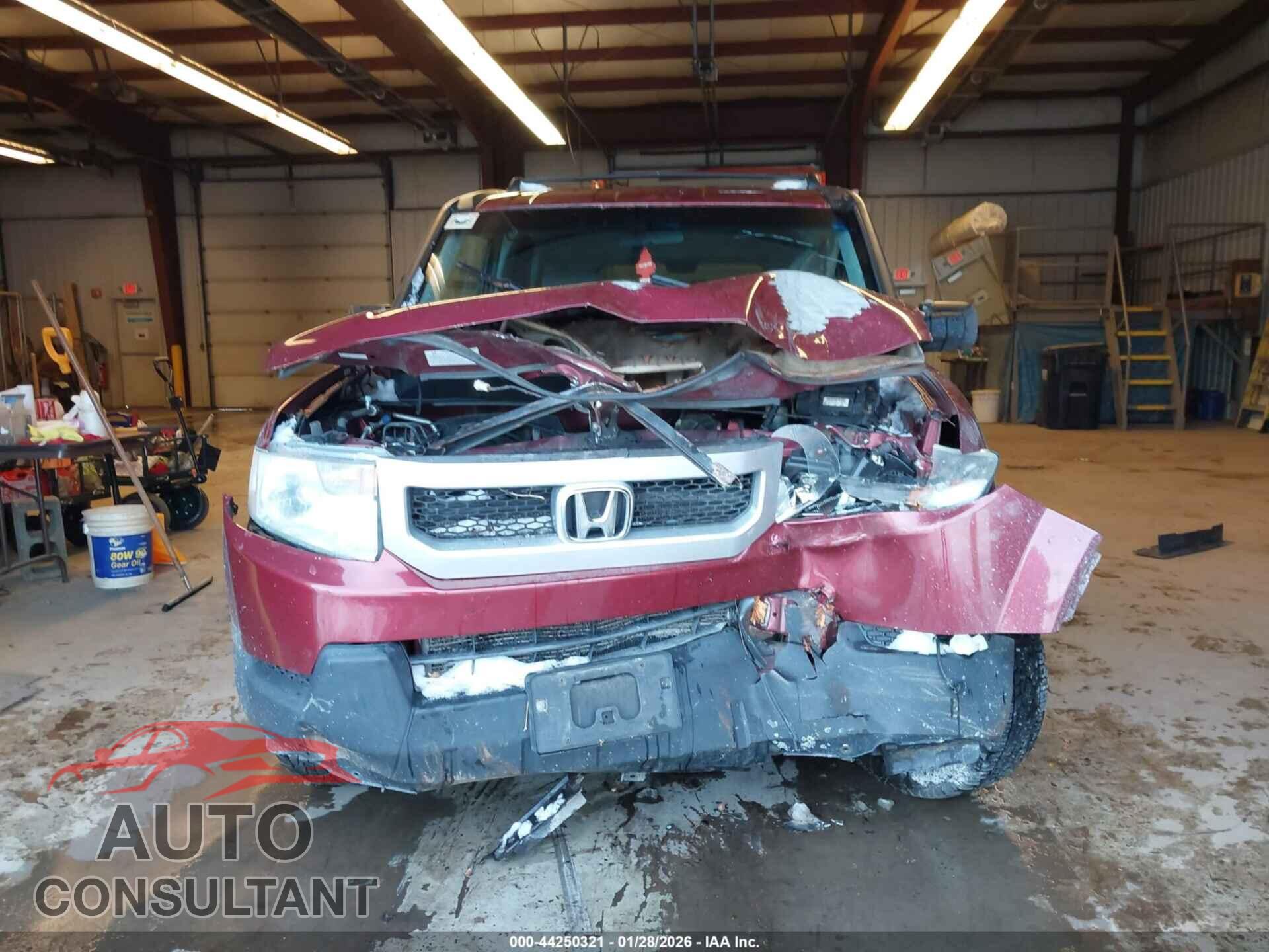 HONDA ELEMENT 2010 - 5J6YH2H74AL008637